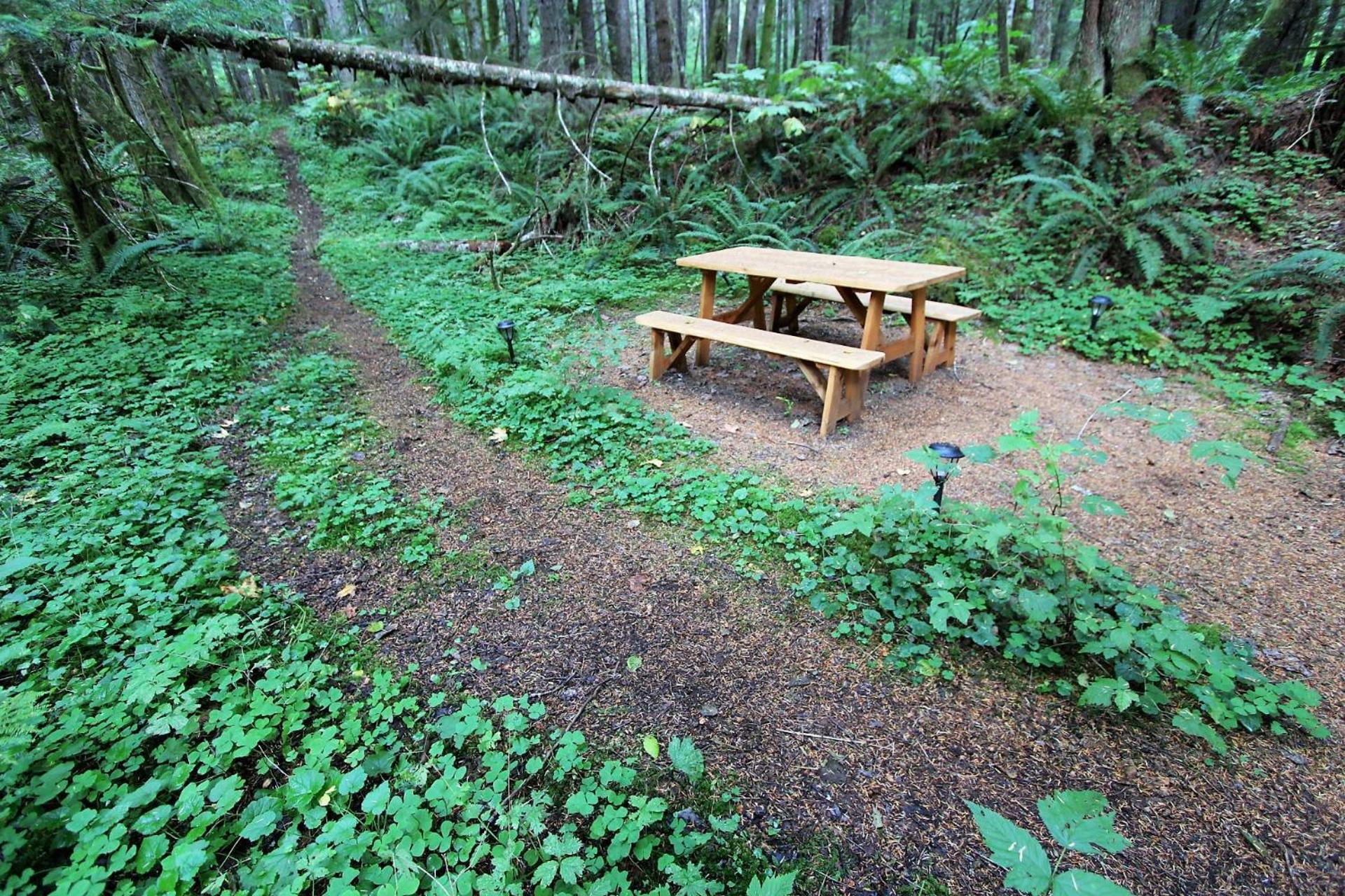 Alexander's Lodge photo 34