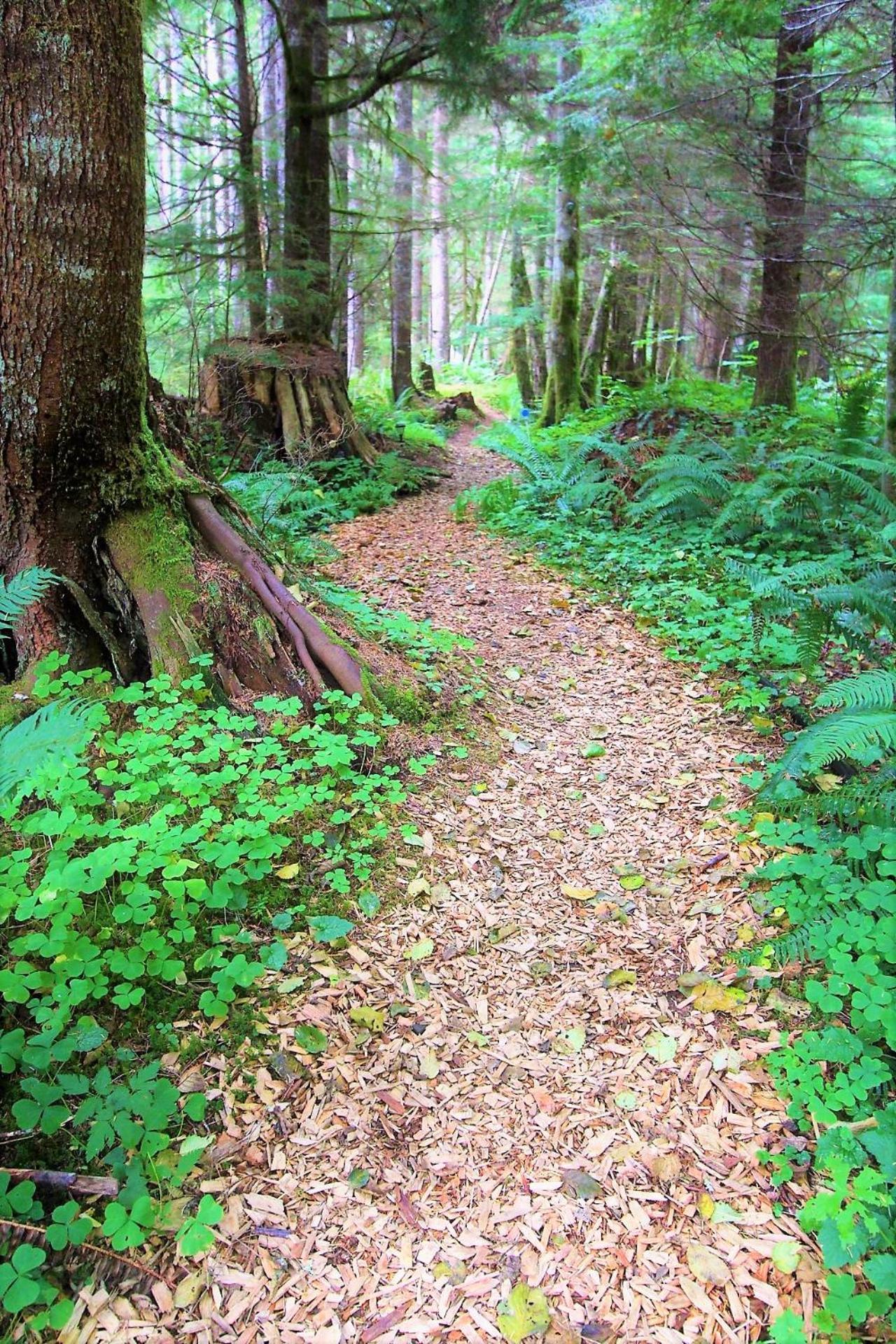 Alexander's Lodge photo 37