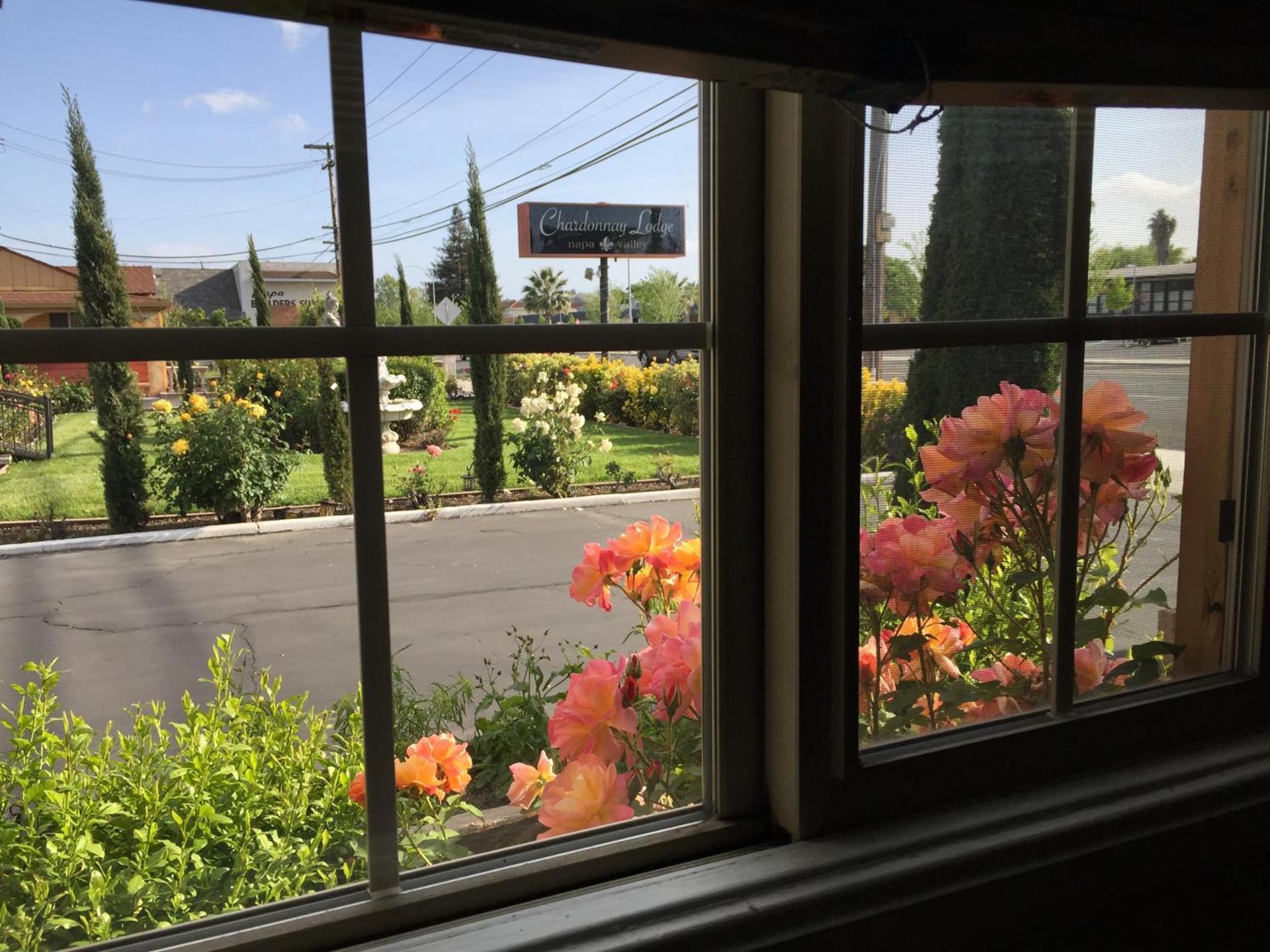 Chardonnay Lodge photo 19