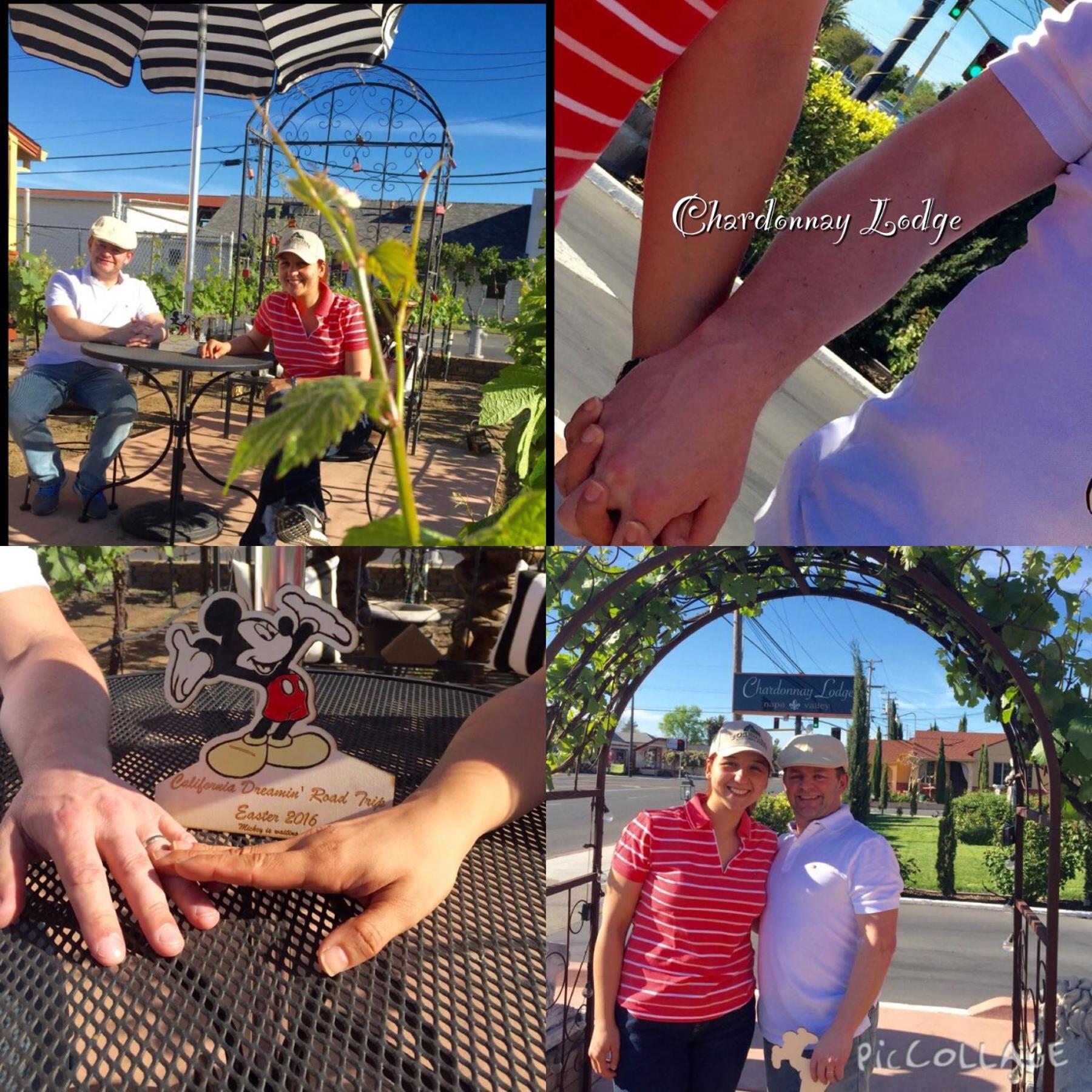 Chardonnay Lodge photo 9