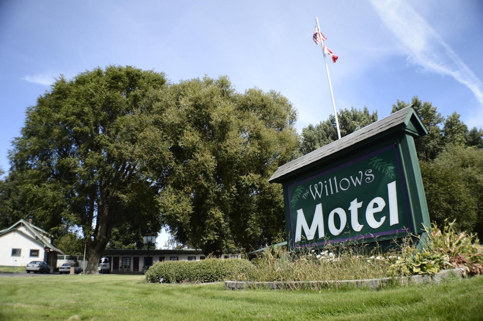 The Willows Motel photo 22