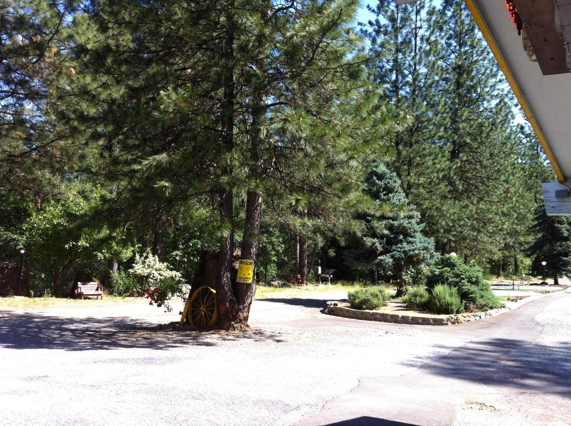 Golden Chain Motel photo 9