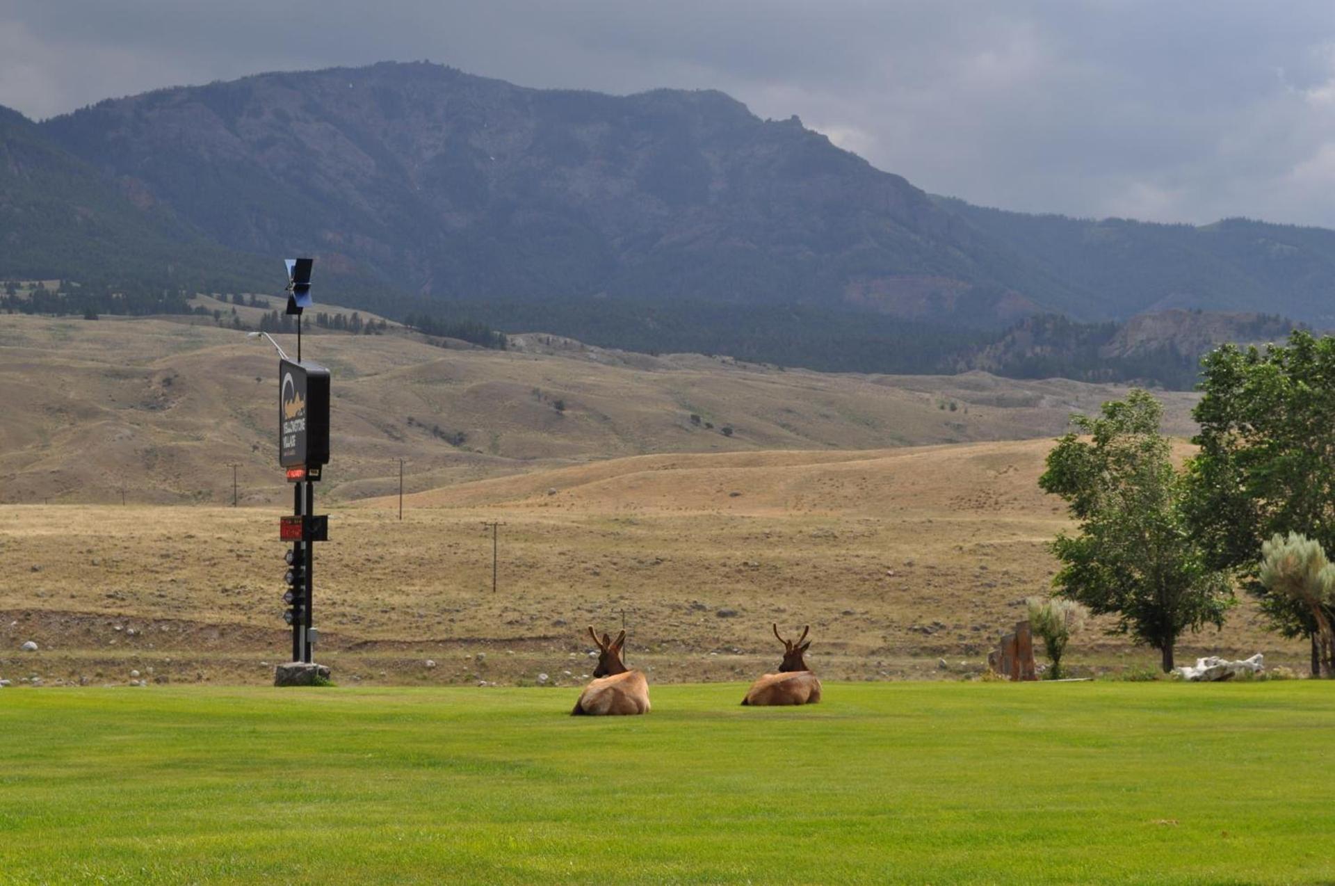 Yellowstone Village Inn and Suites photo 33