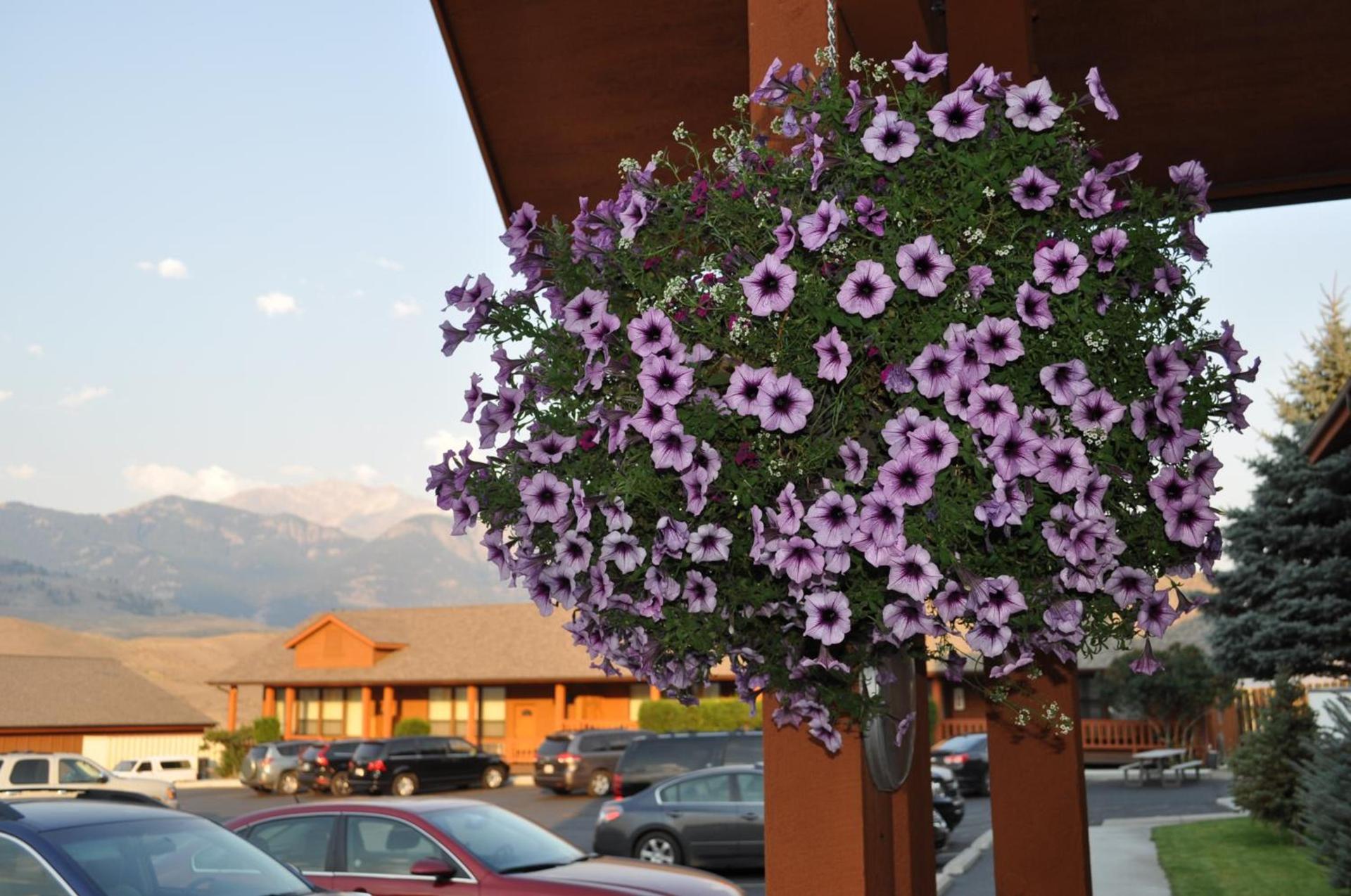 Yellowstone Village Inn and Suites photo 30