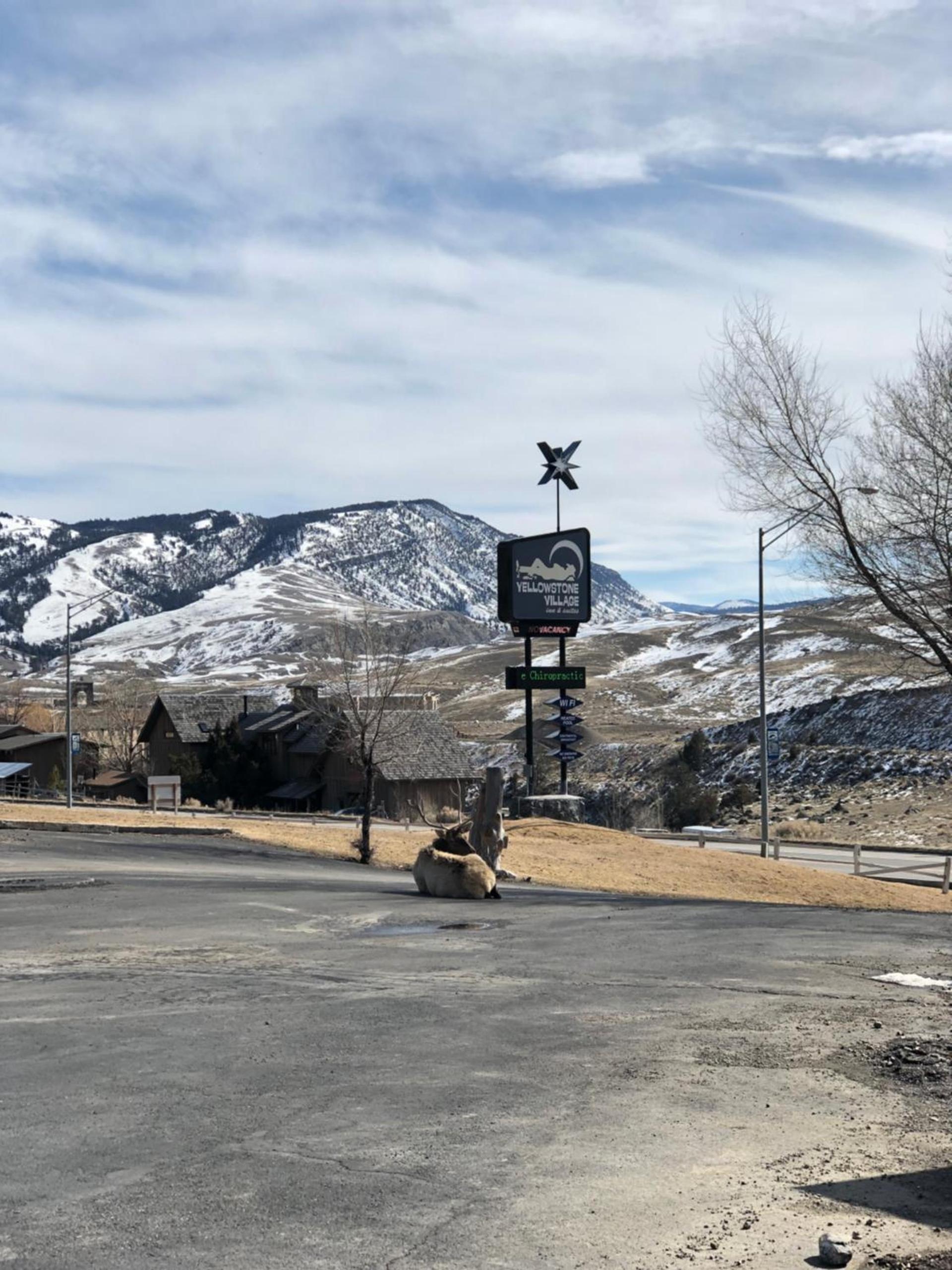 Yellowstone Village Inn and Suites photo 19