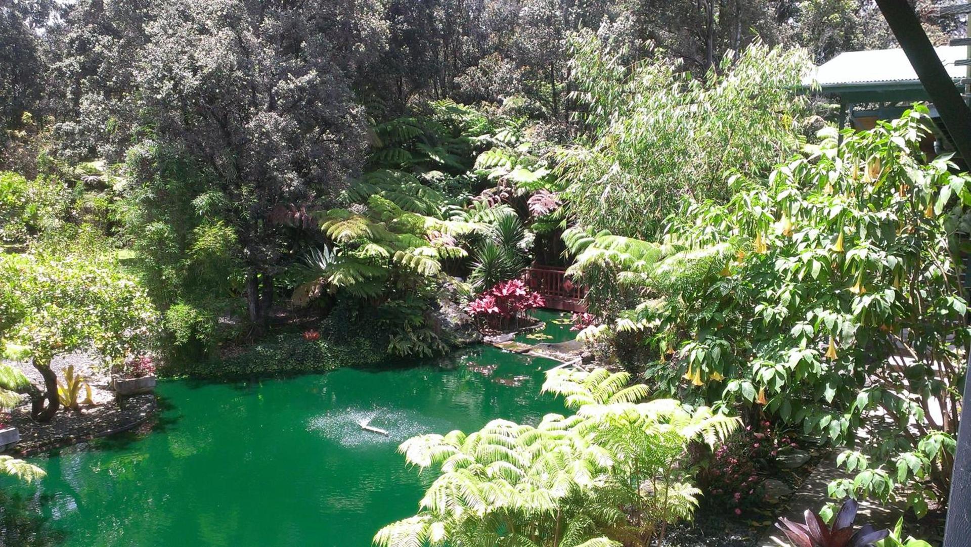 Chalet Kilauea photo 5