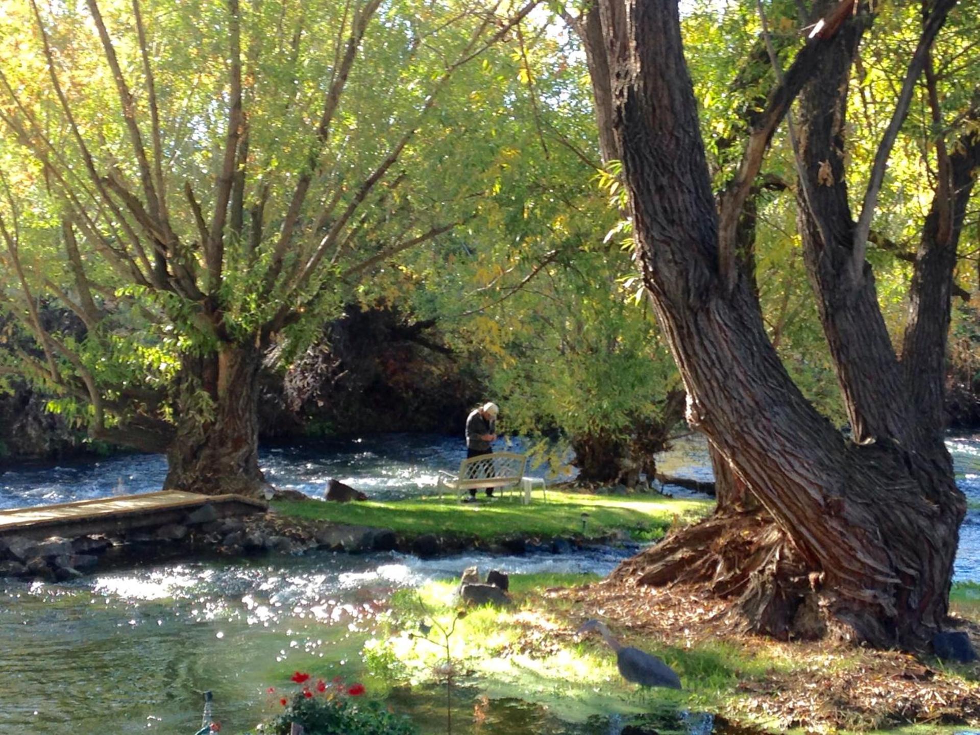 Billingsley Creek photo 55