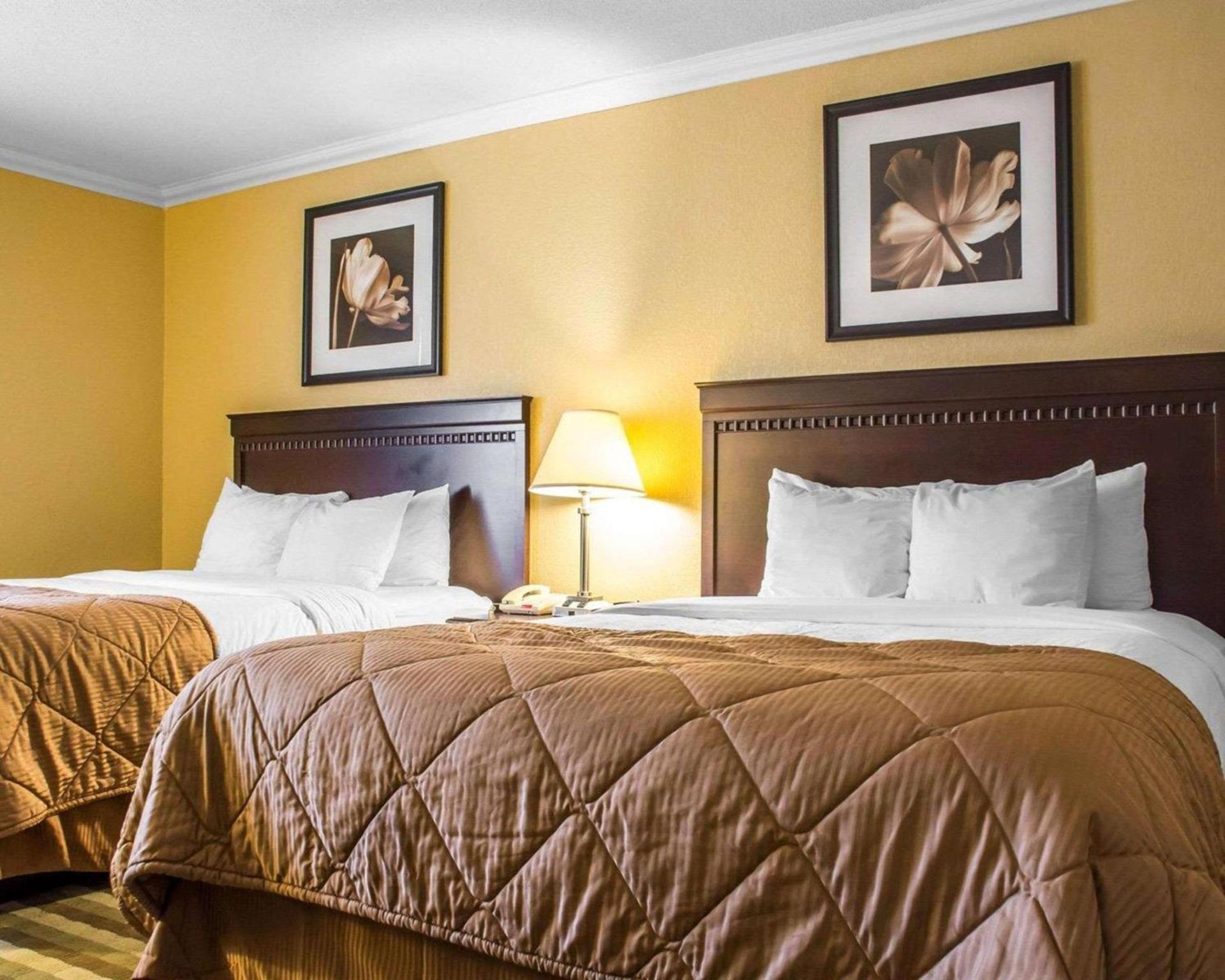 Quality Inn & Suites Syracuse Fairgrounds photo 24