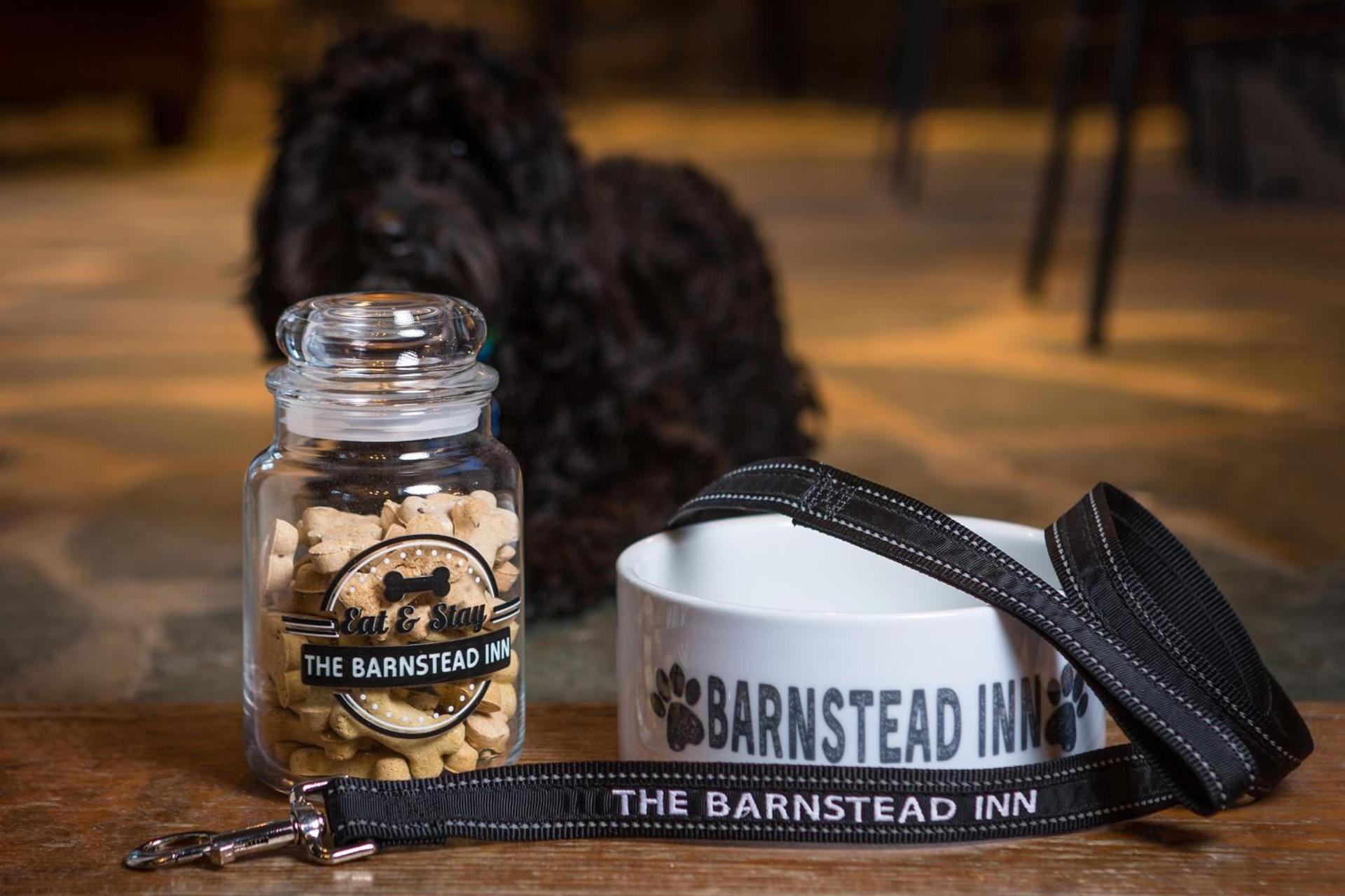The Barnstead Inn photo 39