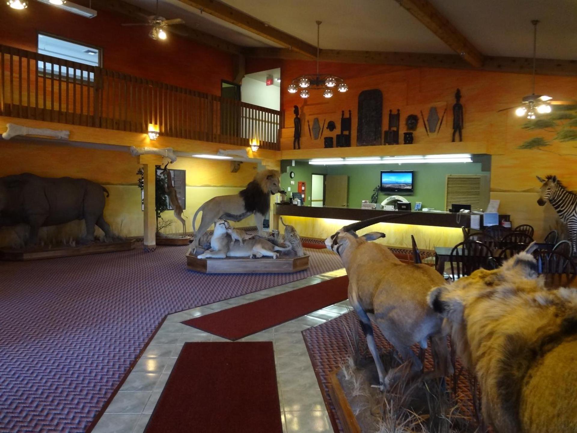 Kings Inn Cody photo 57