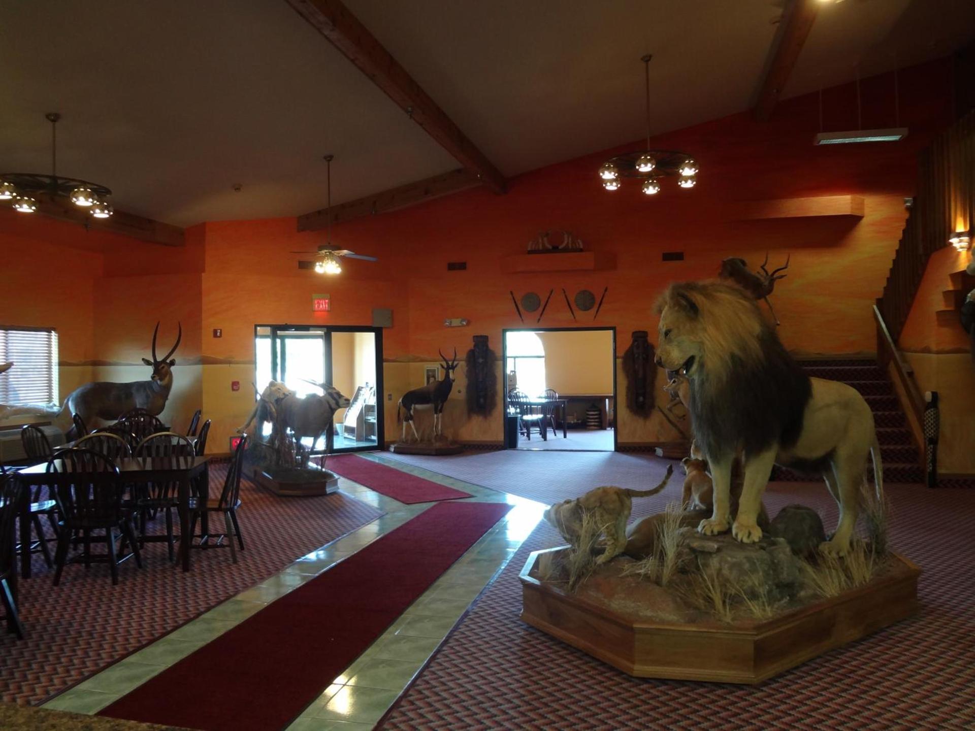 Kings Inn Cody photo 66