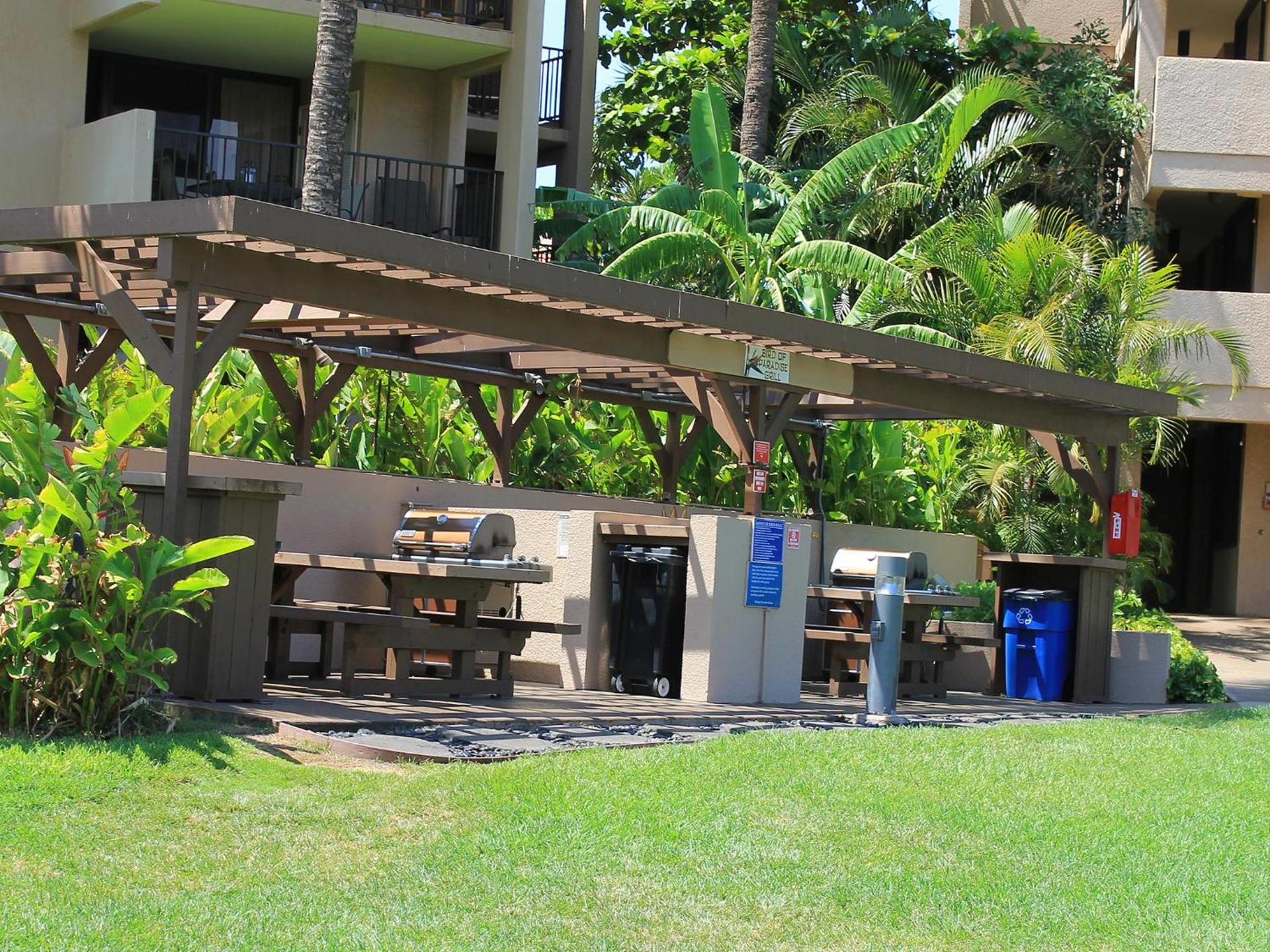 Castle Kama'ole Sands photo 16