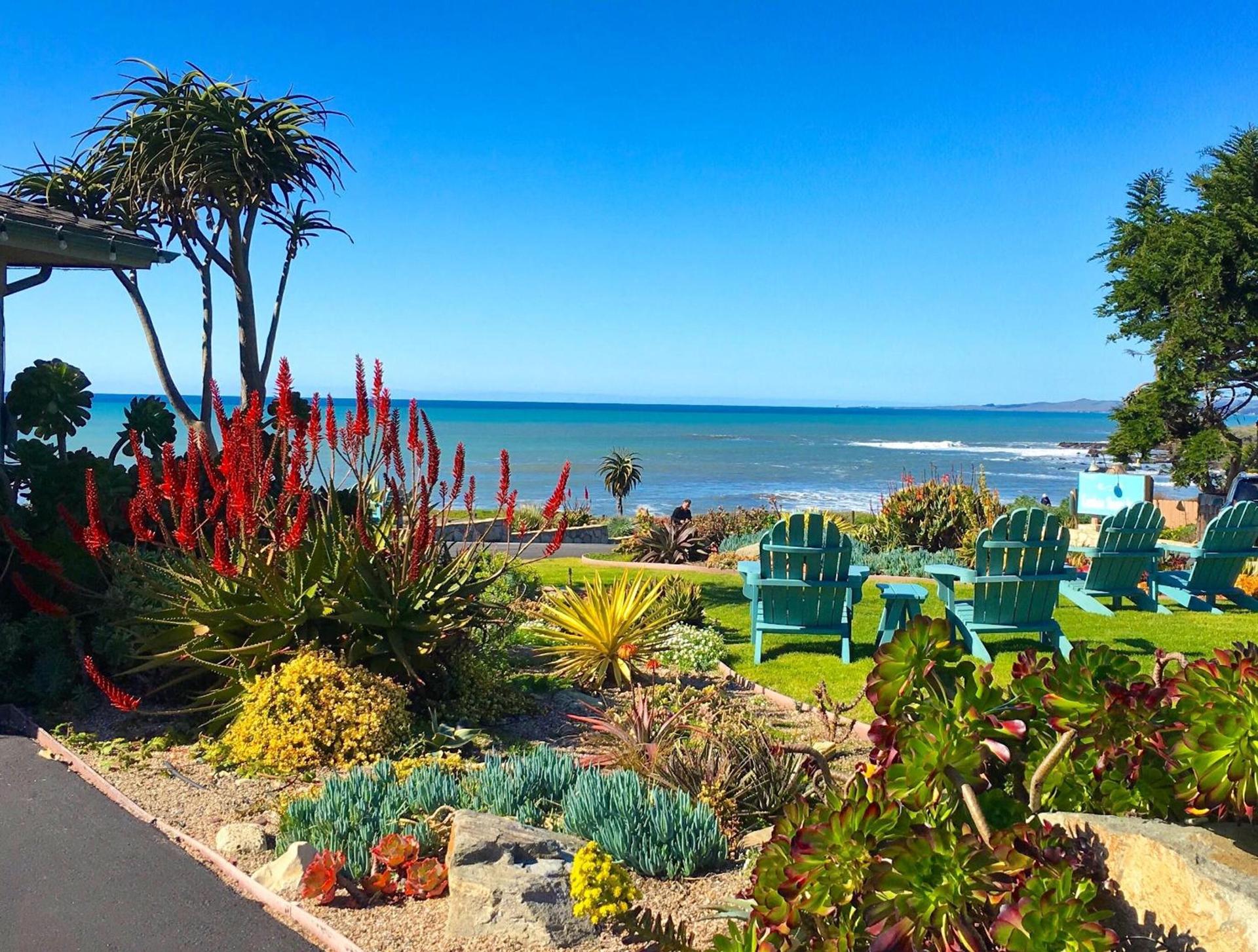 Cambria Shores Inn photo 93