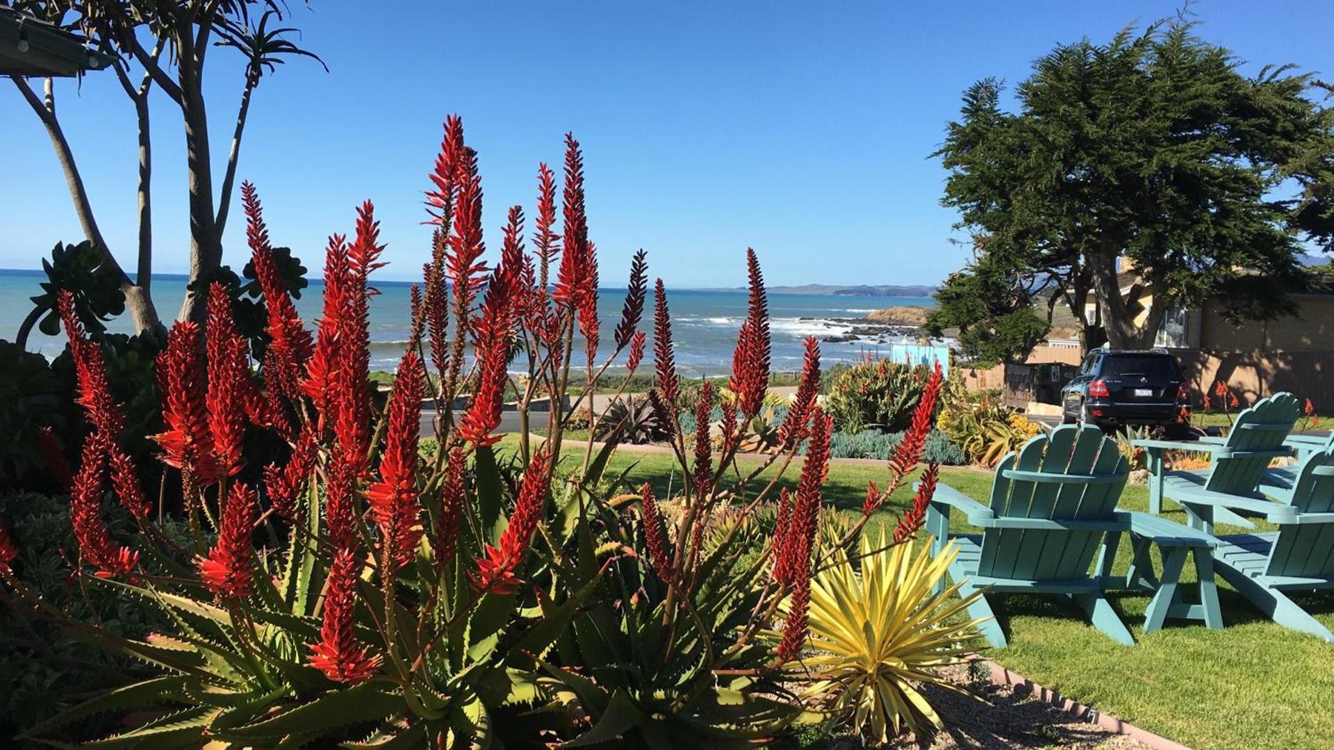 Cambria Shores Inn photo 86