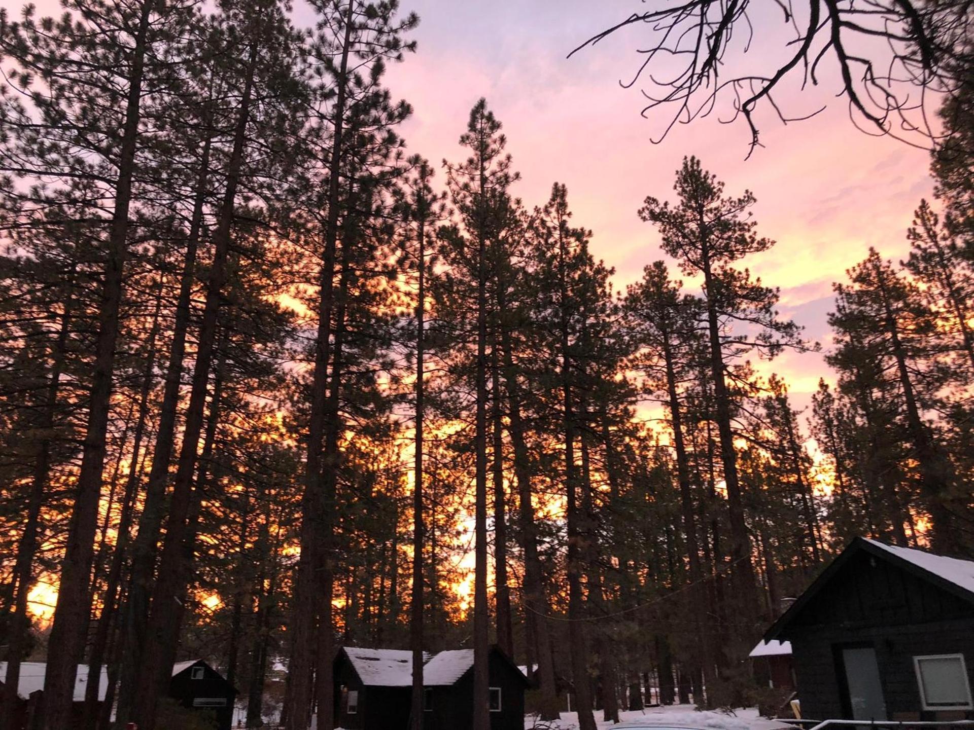 Colorado Lodge photo 88