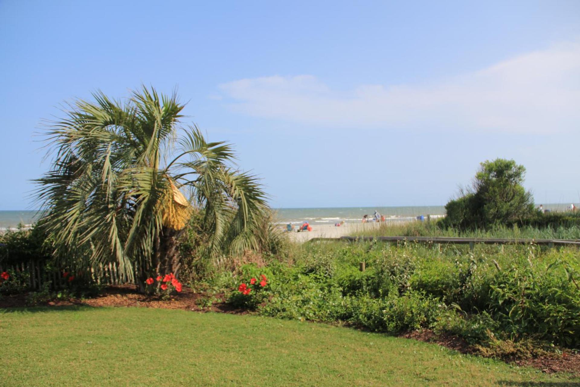 Jade Tree Cove photo 64