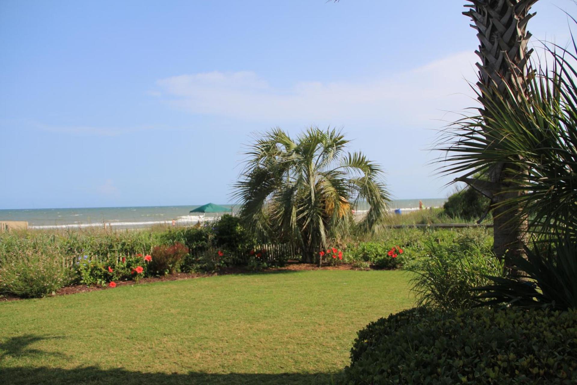 Jade Tree Cove photo 65