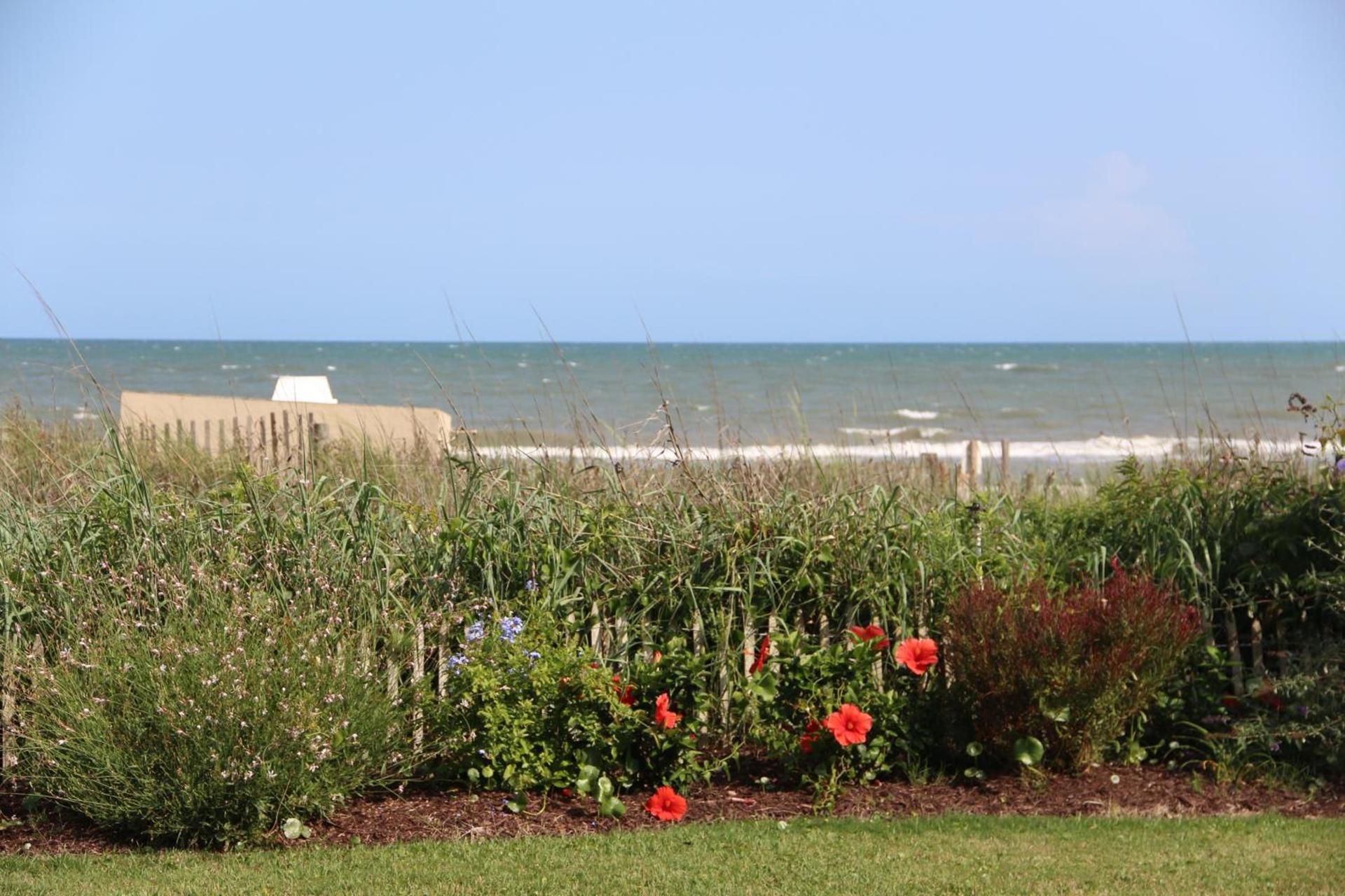 Jade Tree Cove photo 66