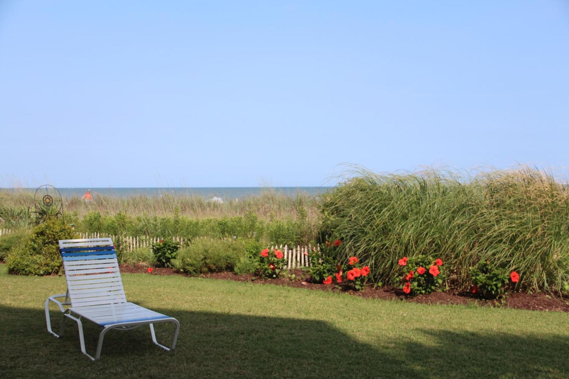 Jade Tree Cove photo 69
