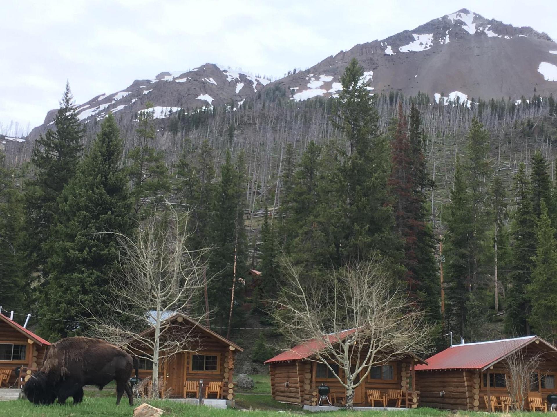 Silver Gate Lodging photo 50