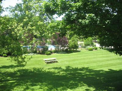 Interlaken Inn photo 16