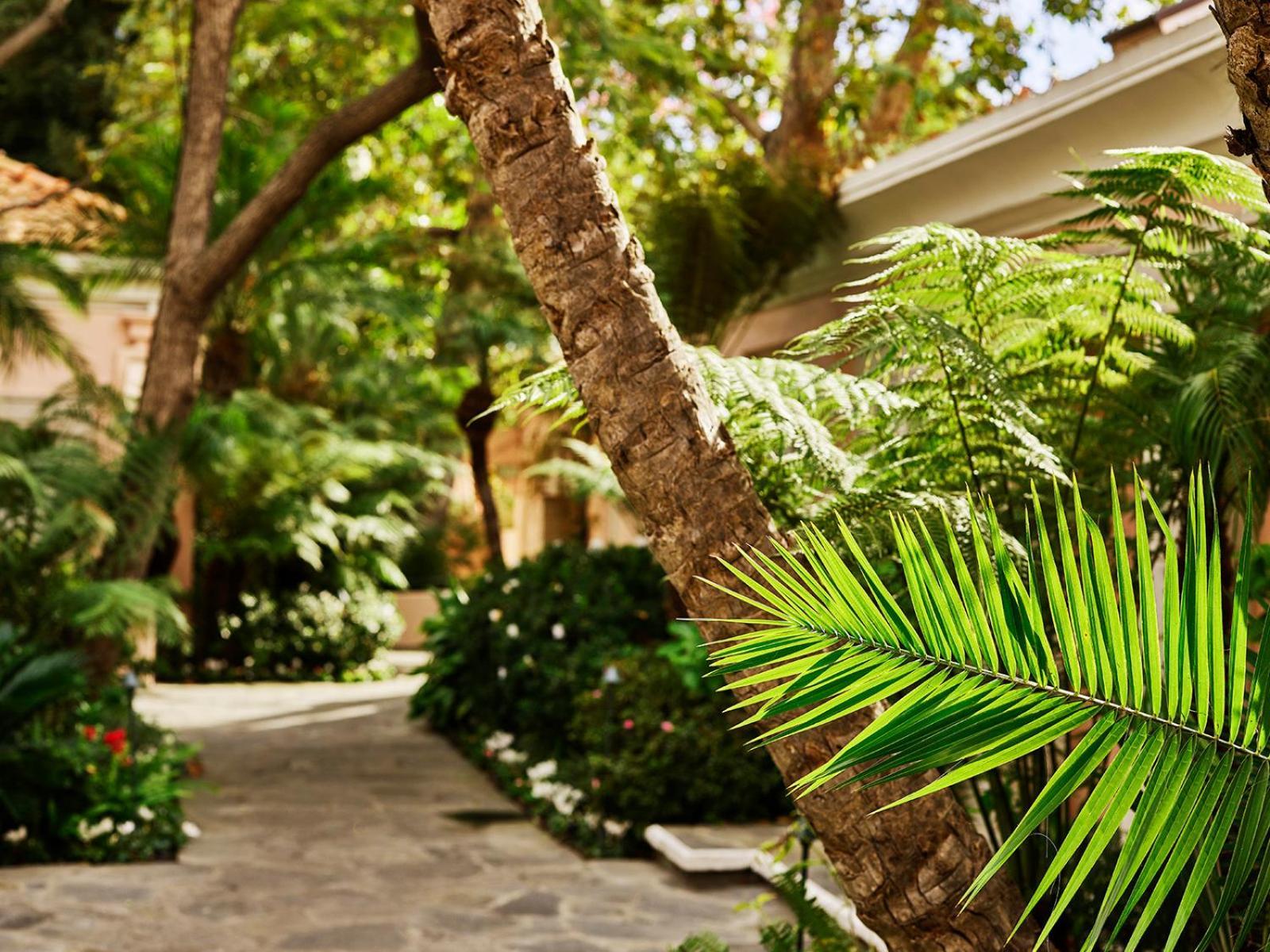 Hotel Bel-Air - Dorchester Collection photo 32