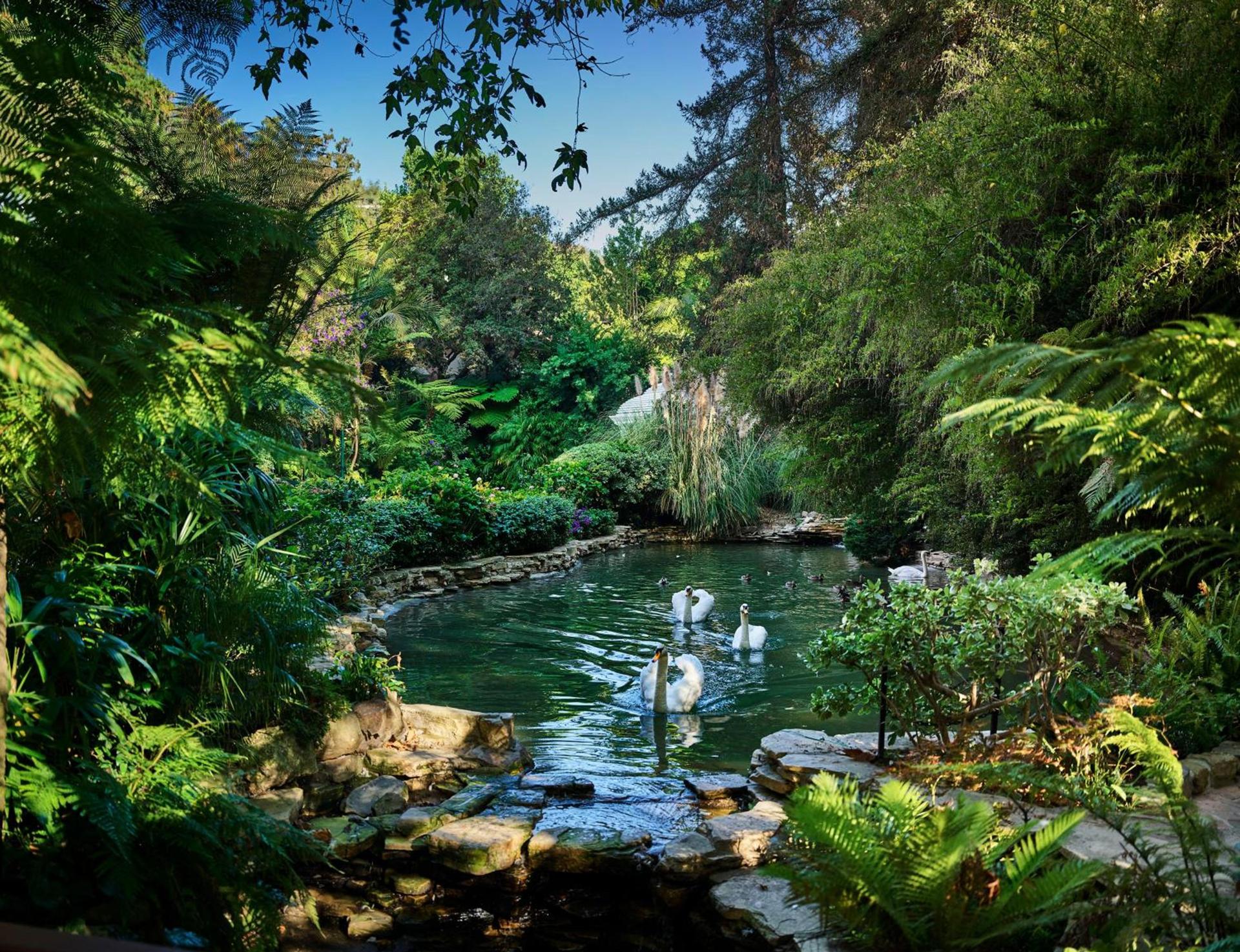Hotel Bel-Air - Dorchester Collection photo 29