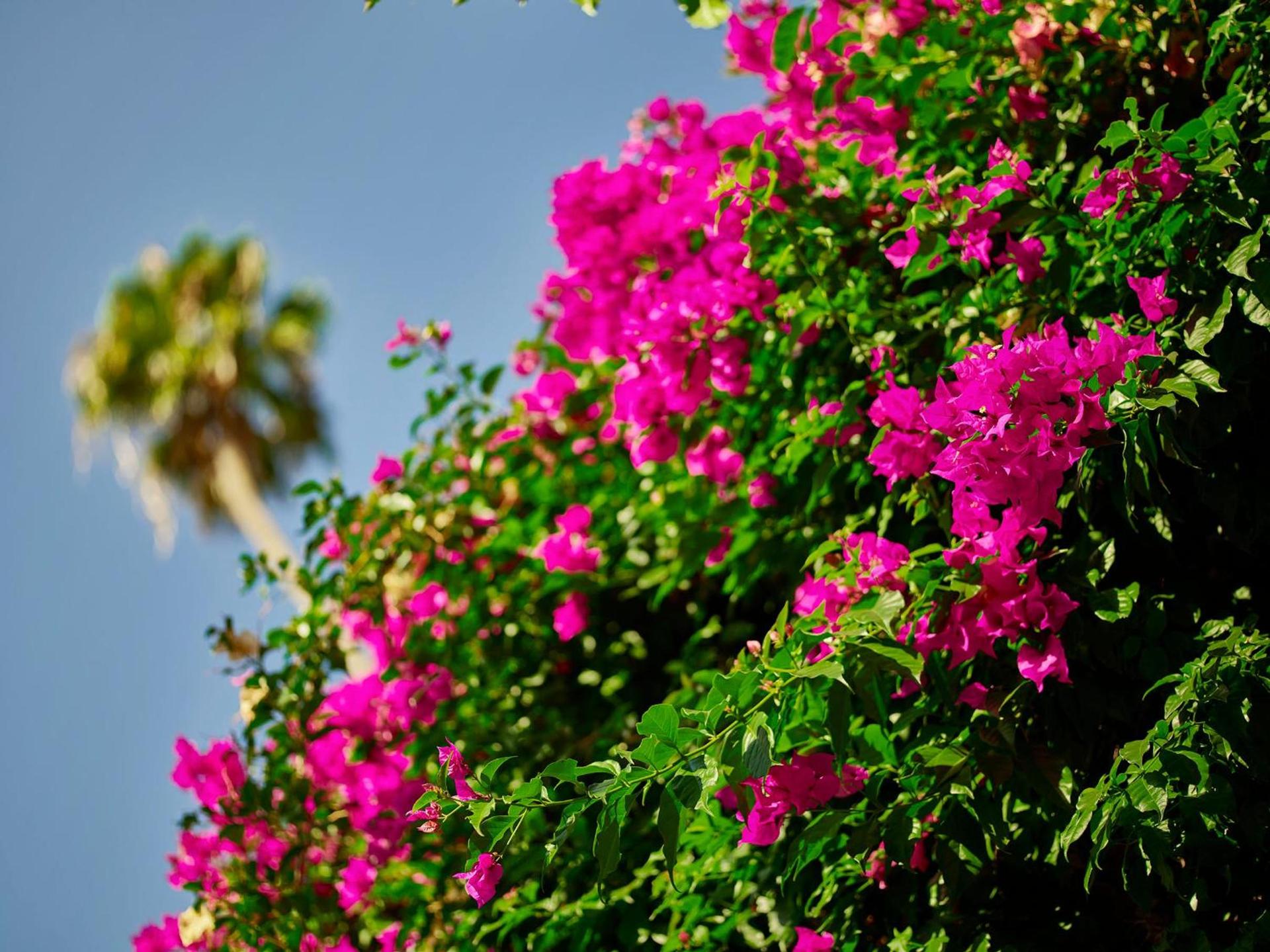 Hotel Bel-Air - Dorchester Collection photo 28