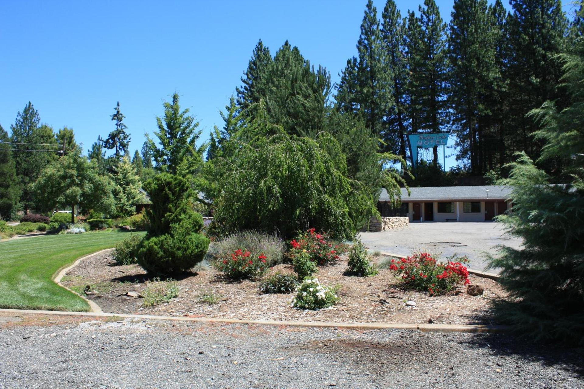 Mother Lode Motel photo 34