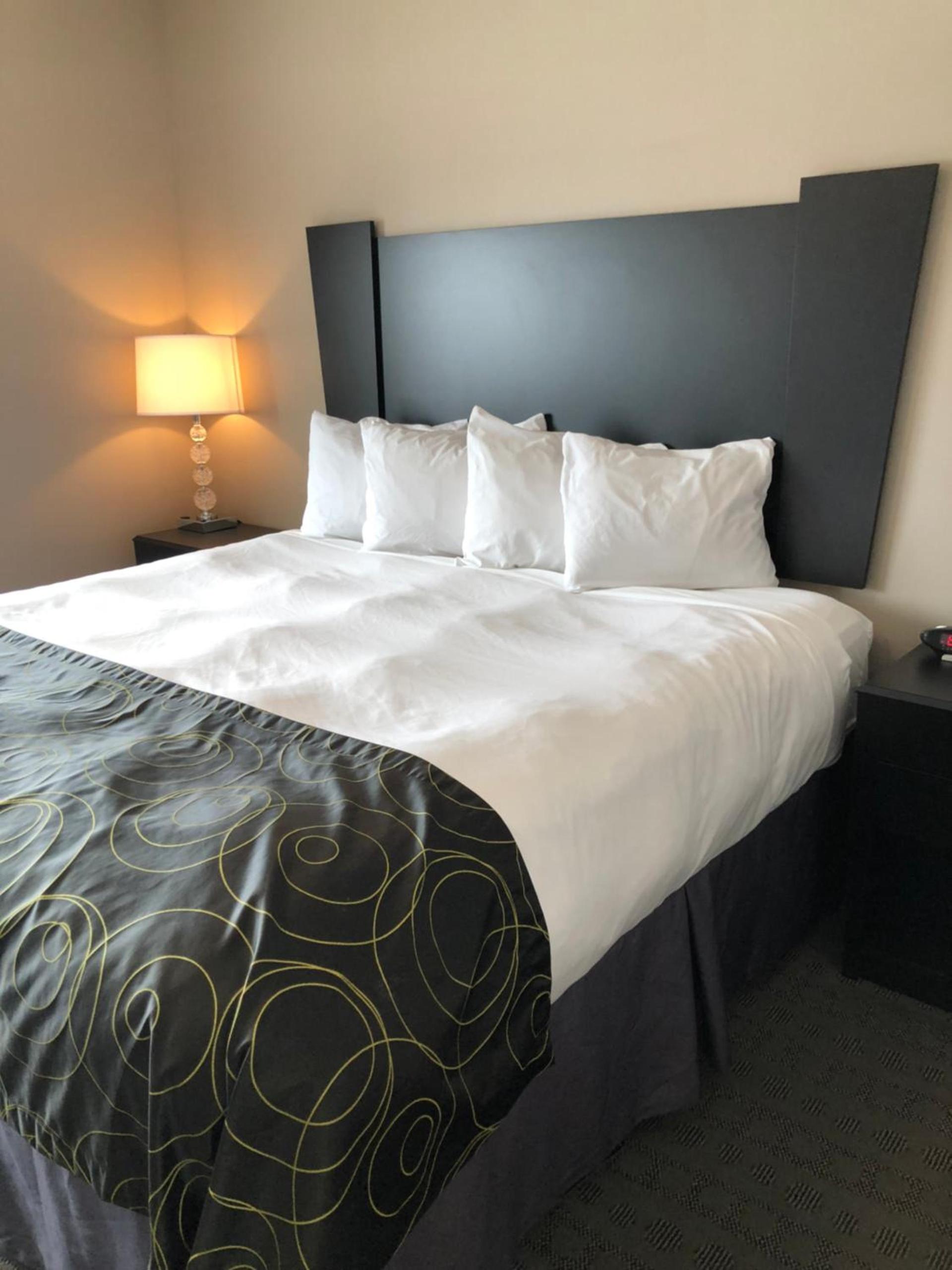 Okoboji Inn & Suites photo 4