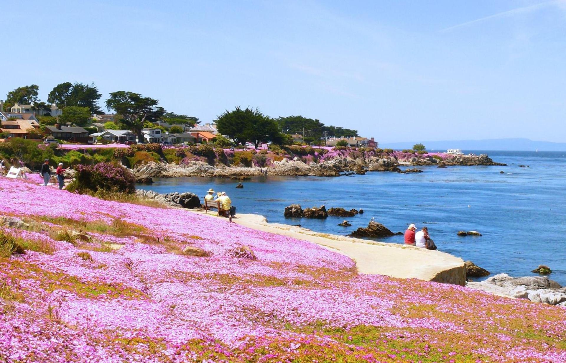 Monterey Peninsula Inn photo 17