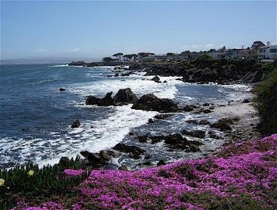 Monterey Peninsula Inn photo 16