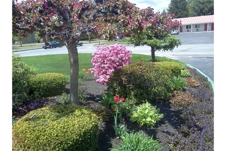 Belmont Motel photo 41