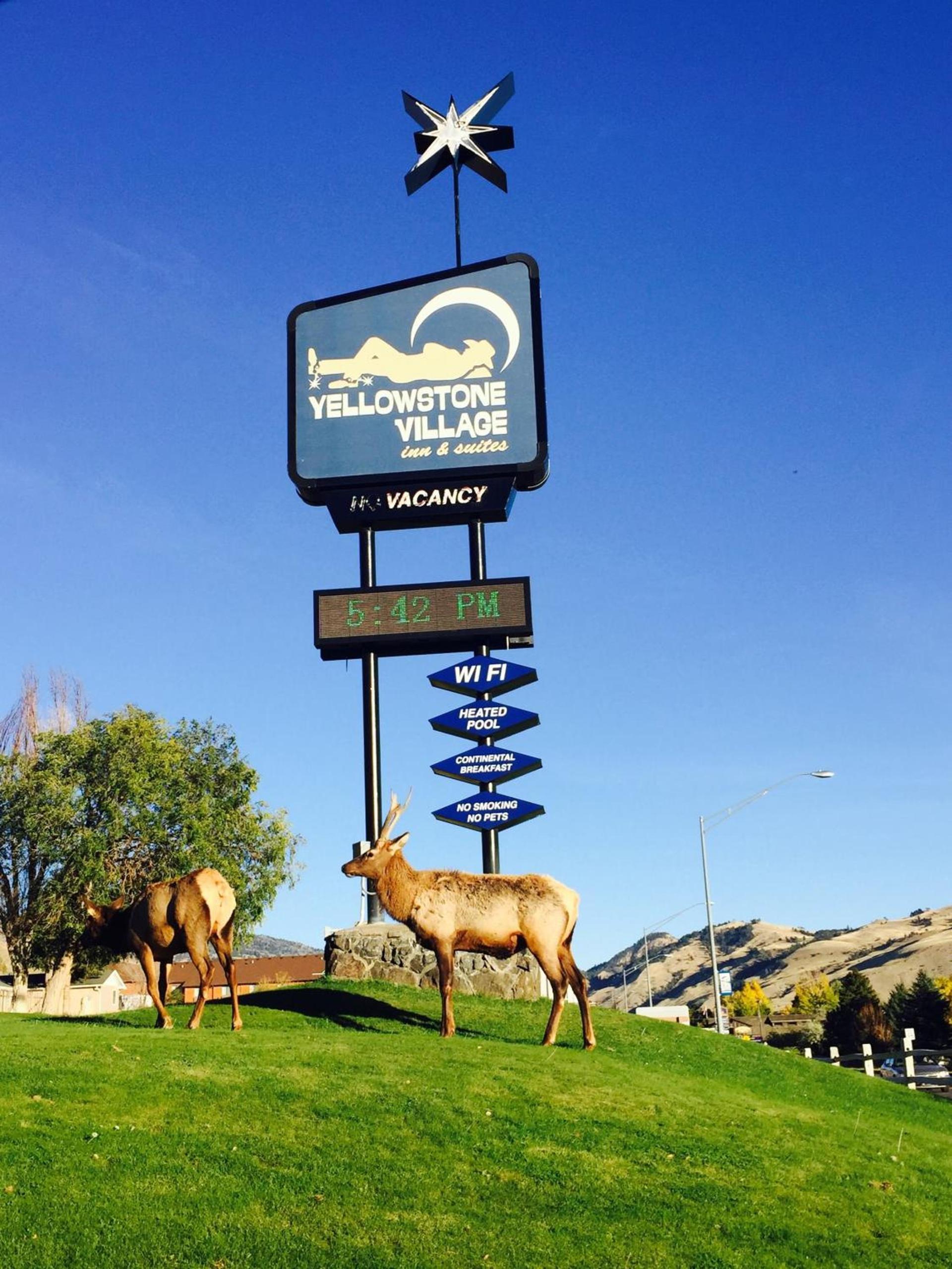 Yellowstone Village Inn and Suites photo 16