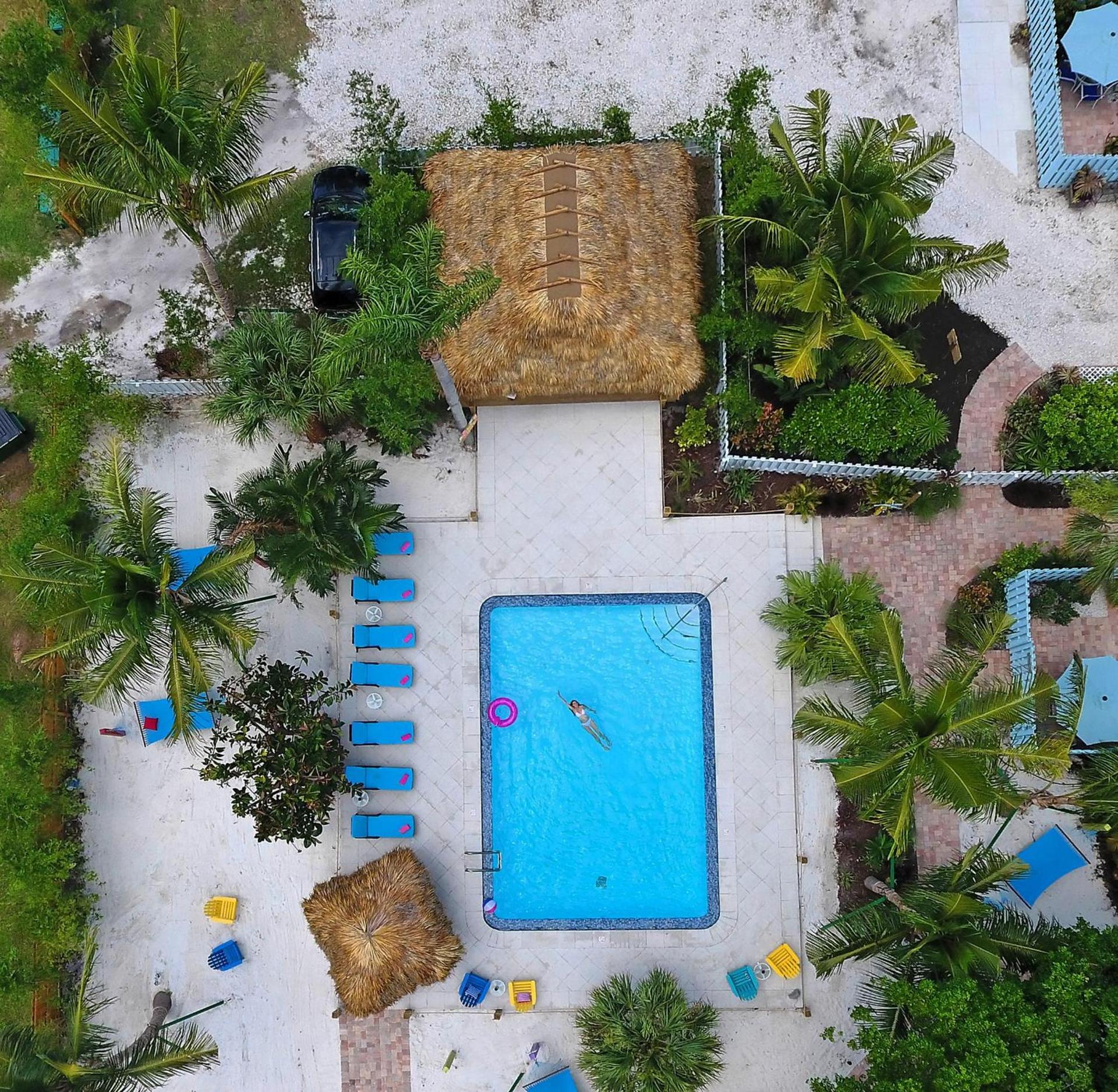 Siesta Key Palms Resort photo 43