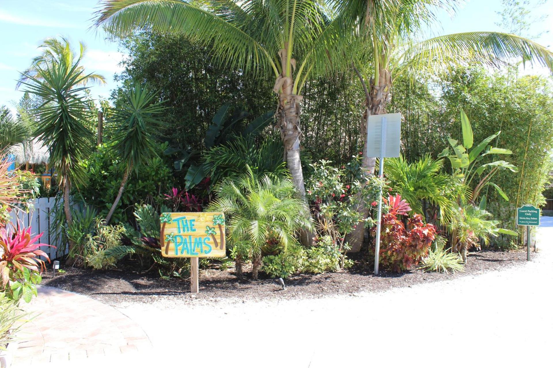 Siesta Key Palms Resort photo 92
