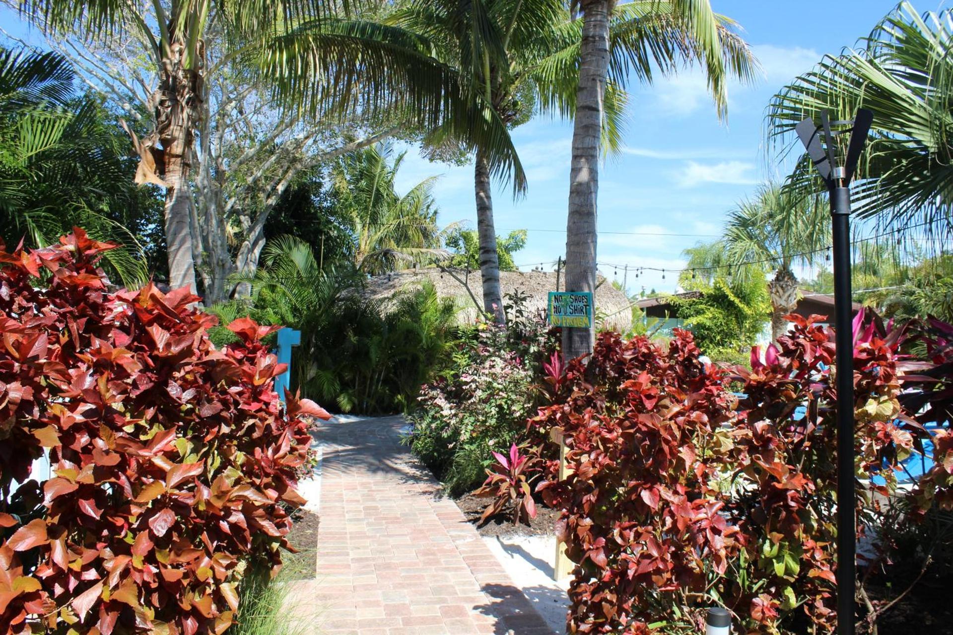Siesta Key Palms Resort photo 56
