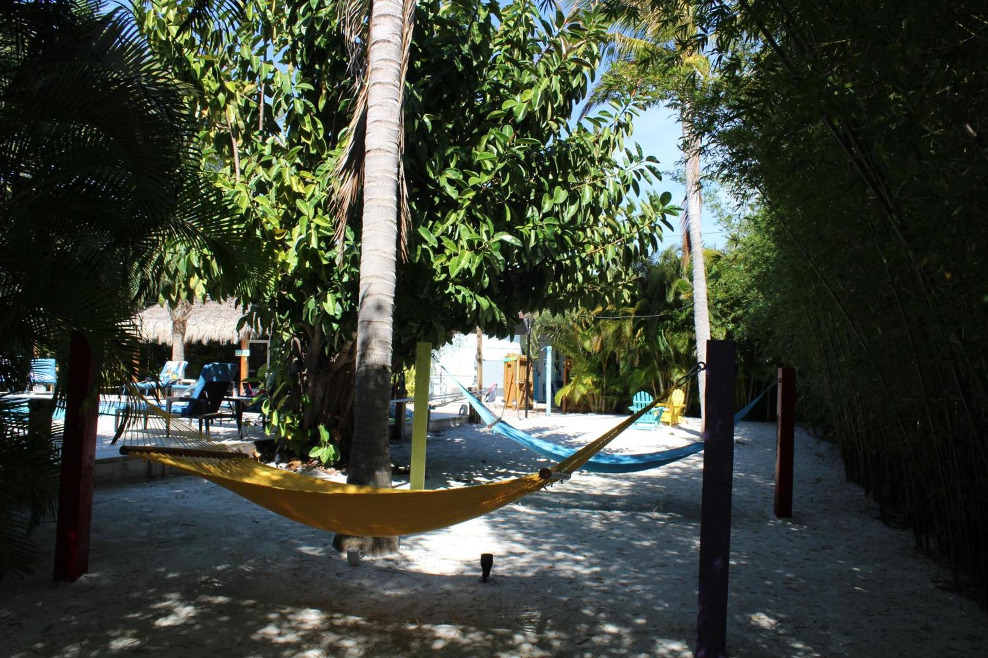 Siesta Key Palms Resort photo 94
