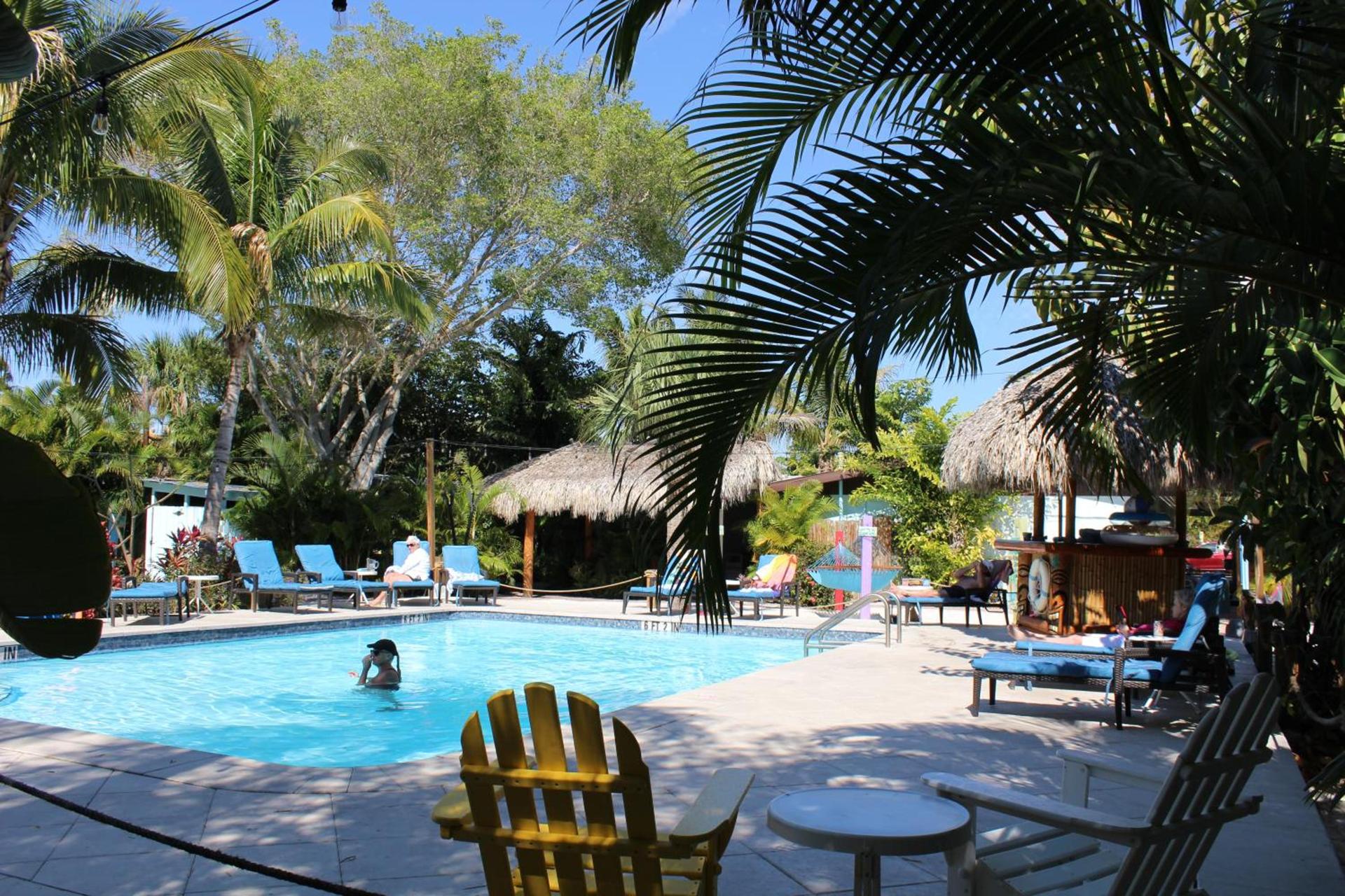 Siesta Key Palms Resort photo 45
