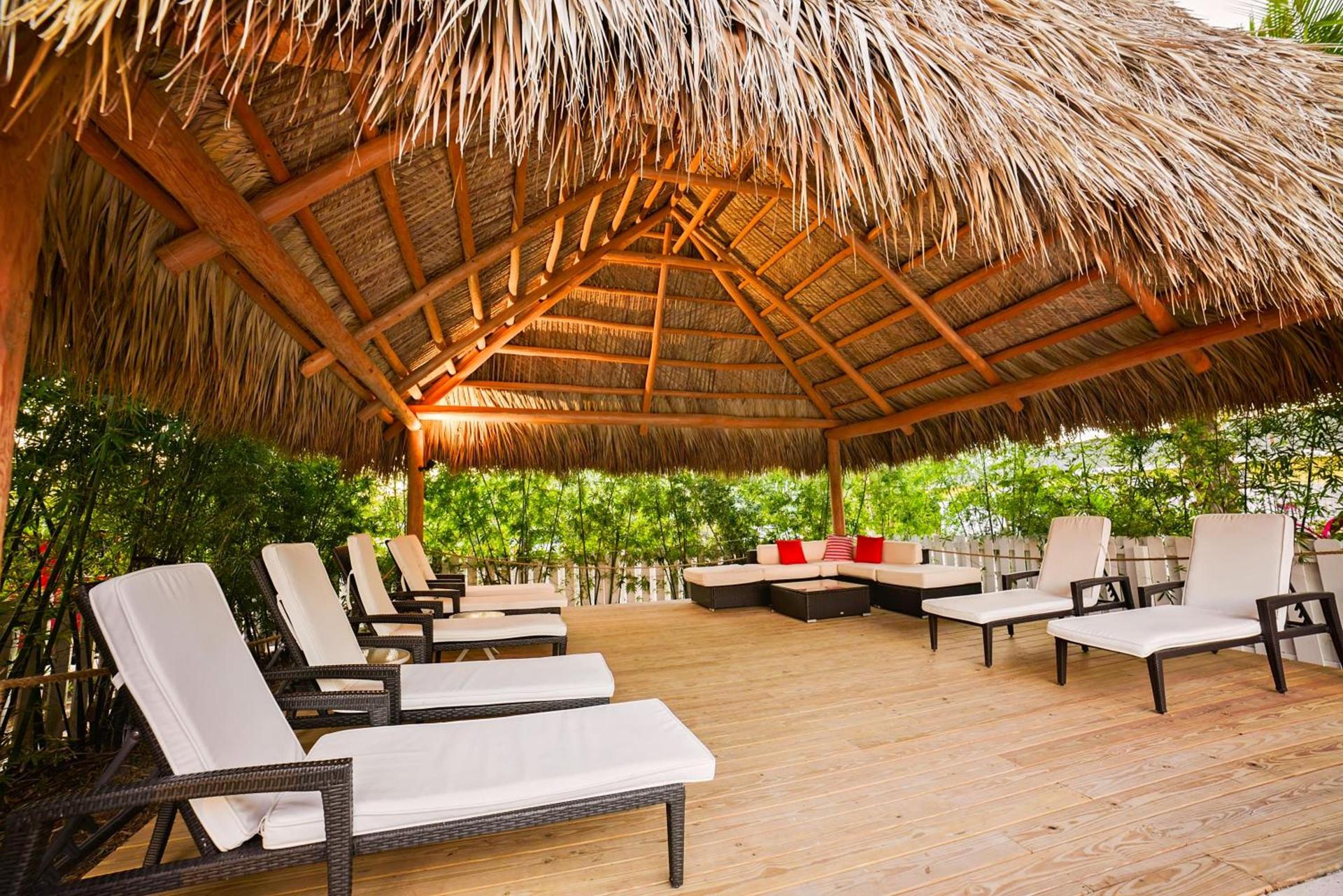 Siesta Key Palms Resort photo 68