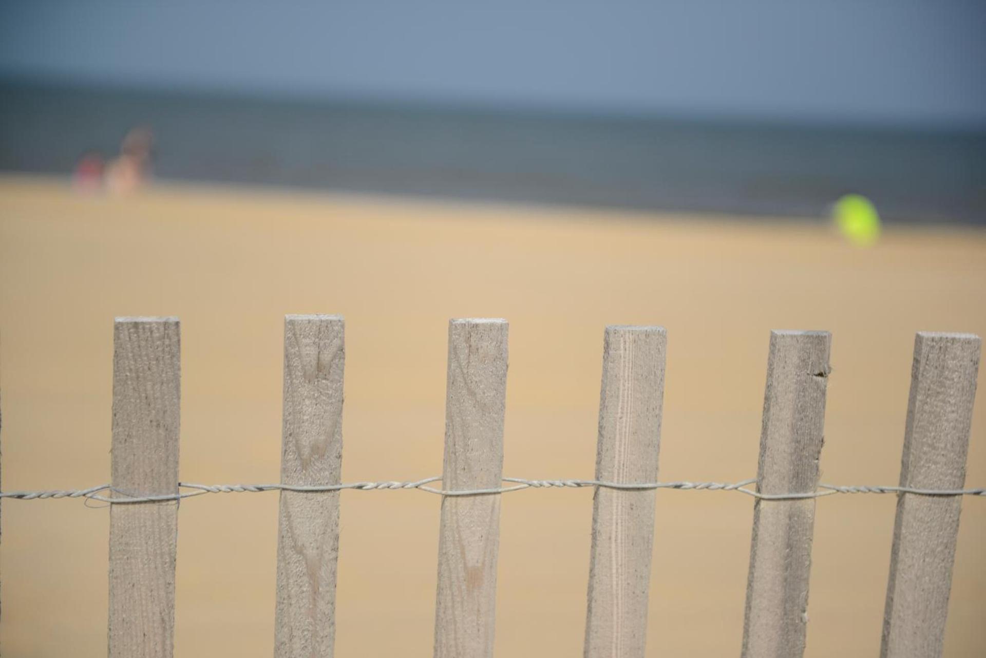 Beach House Dewey photo 24