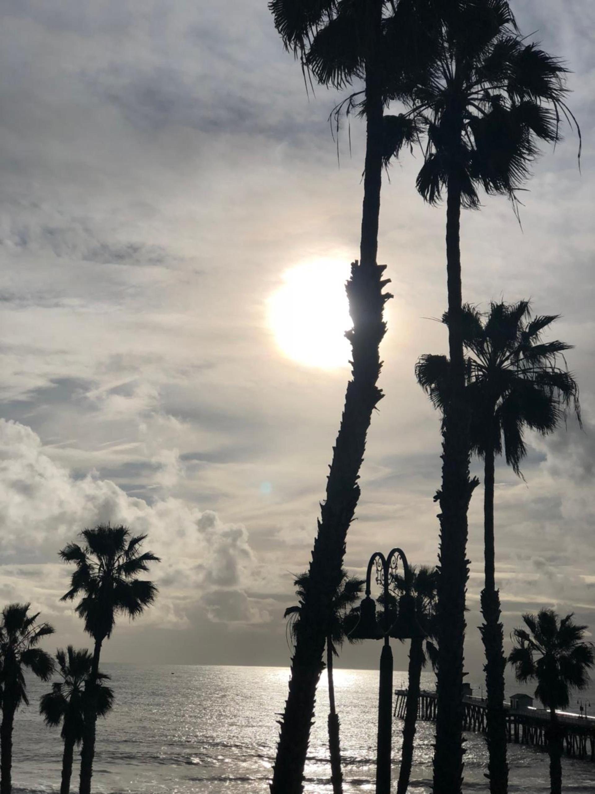 Sea Horse Resort photo 65