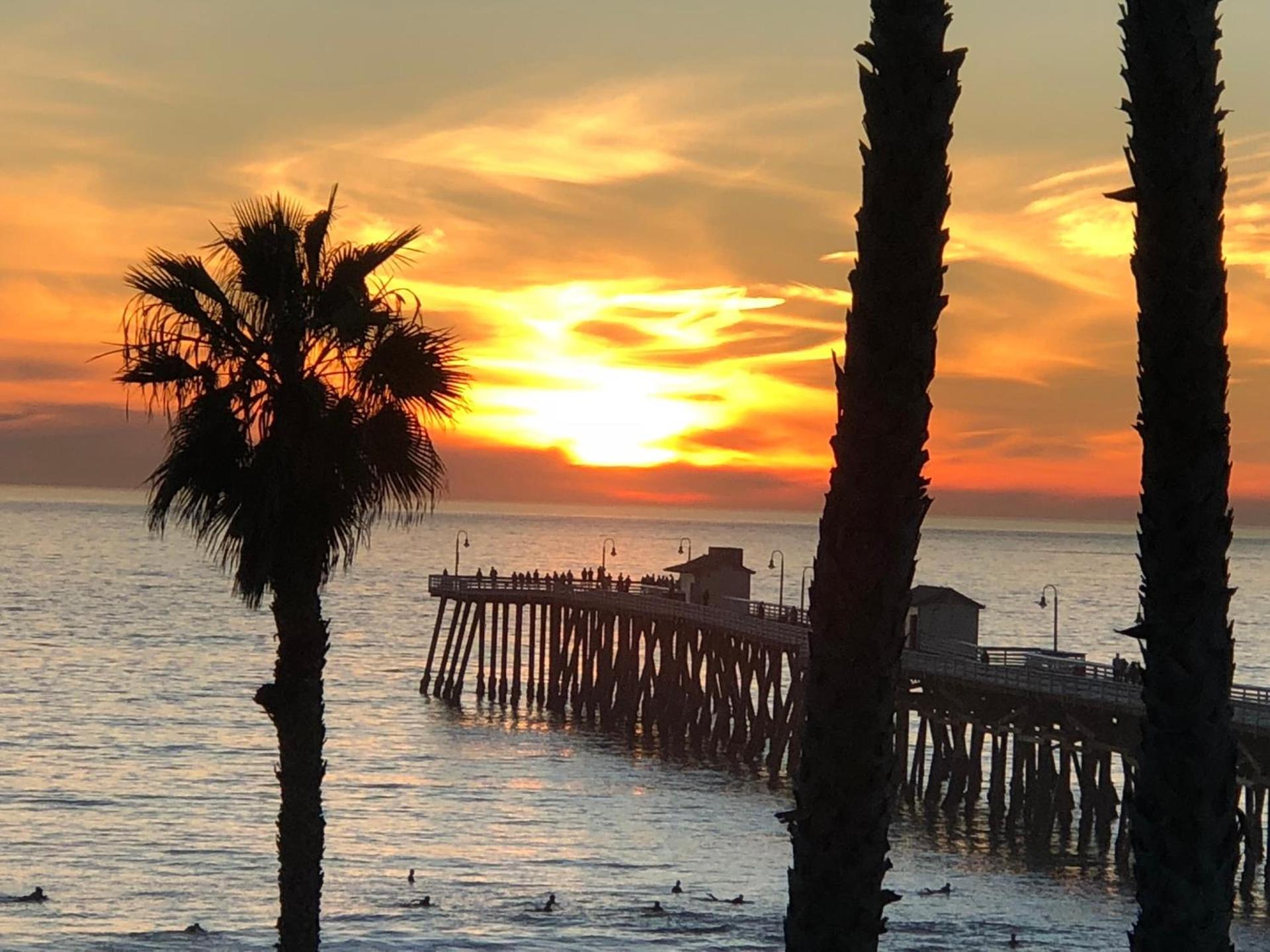 Sea Horse Resort photo 58