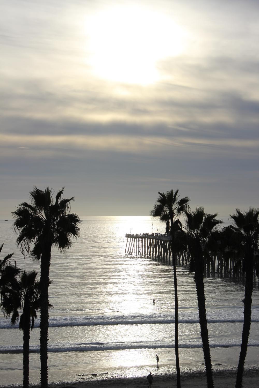 Sea Horse Resort photo 59