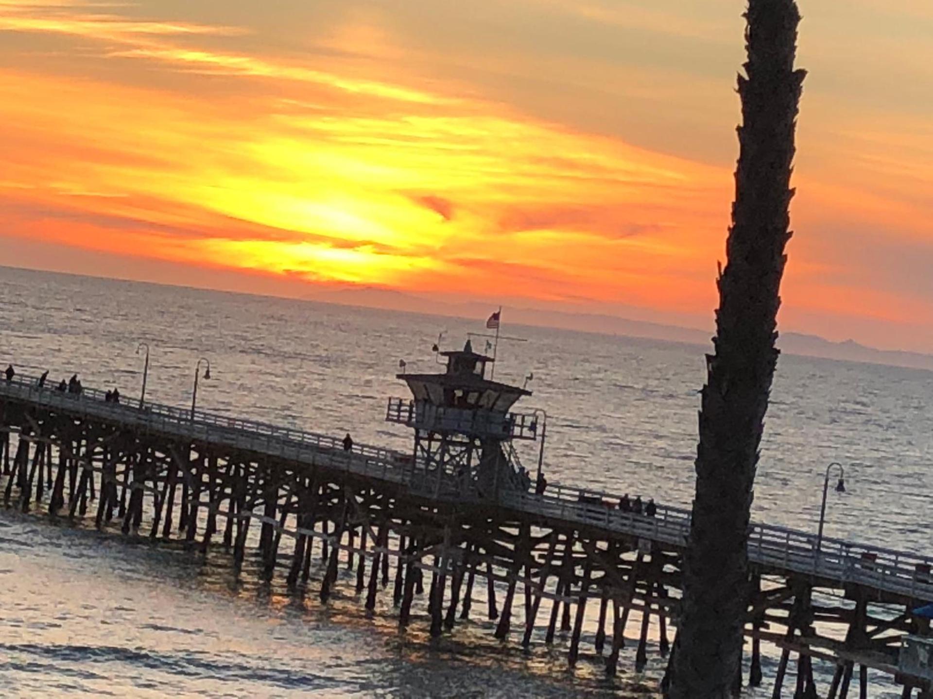 Sea Horse Resort photo 61