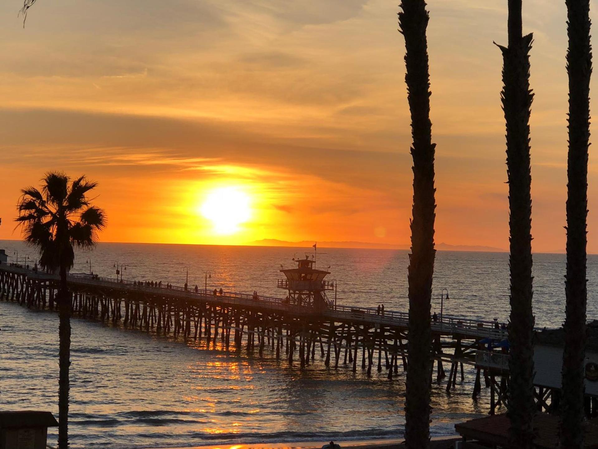 Sea Horse Resort photo 62