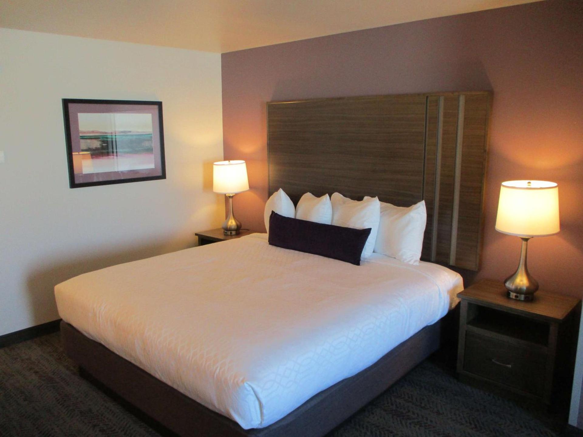 Best Western Plus Rapid City Rushmore photo 14
