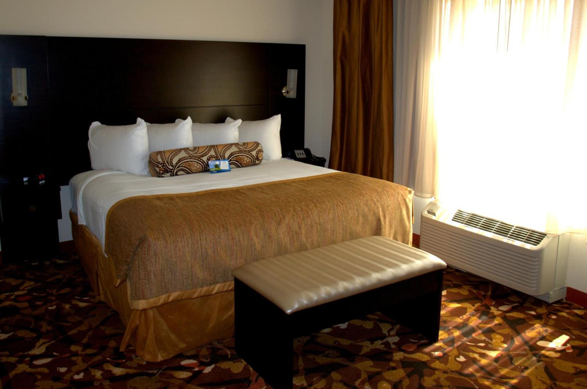 Baymont by Wyndham Hobbs photo 21