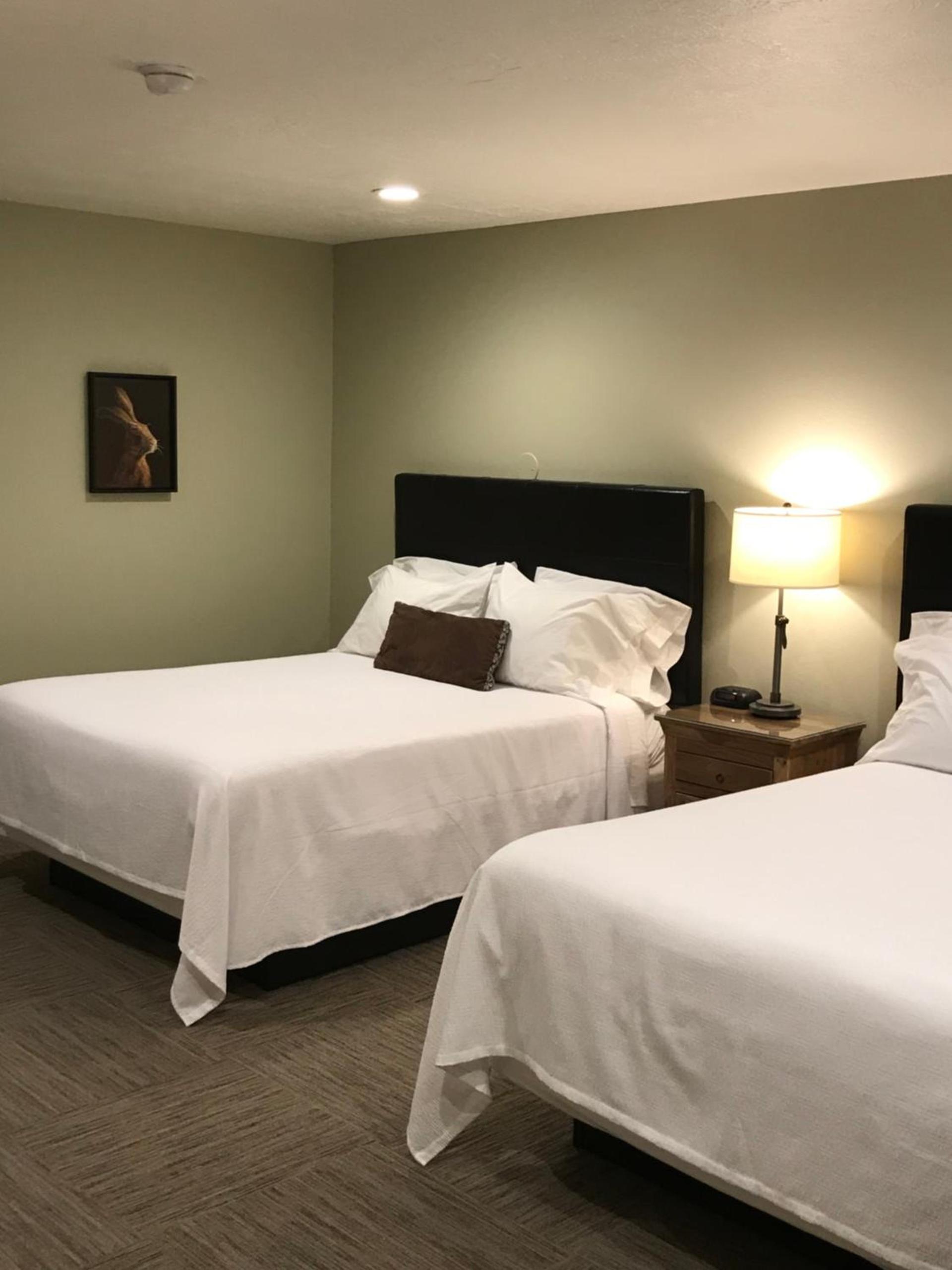 Driftwood Lodge photo 3
