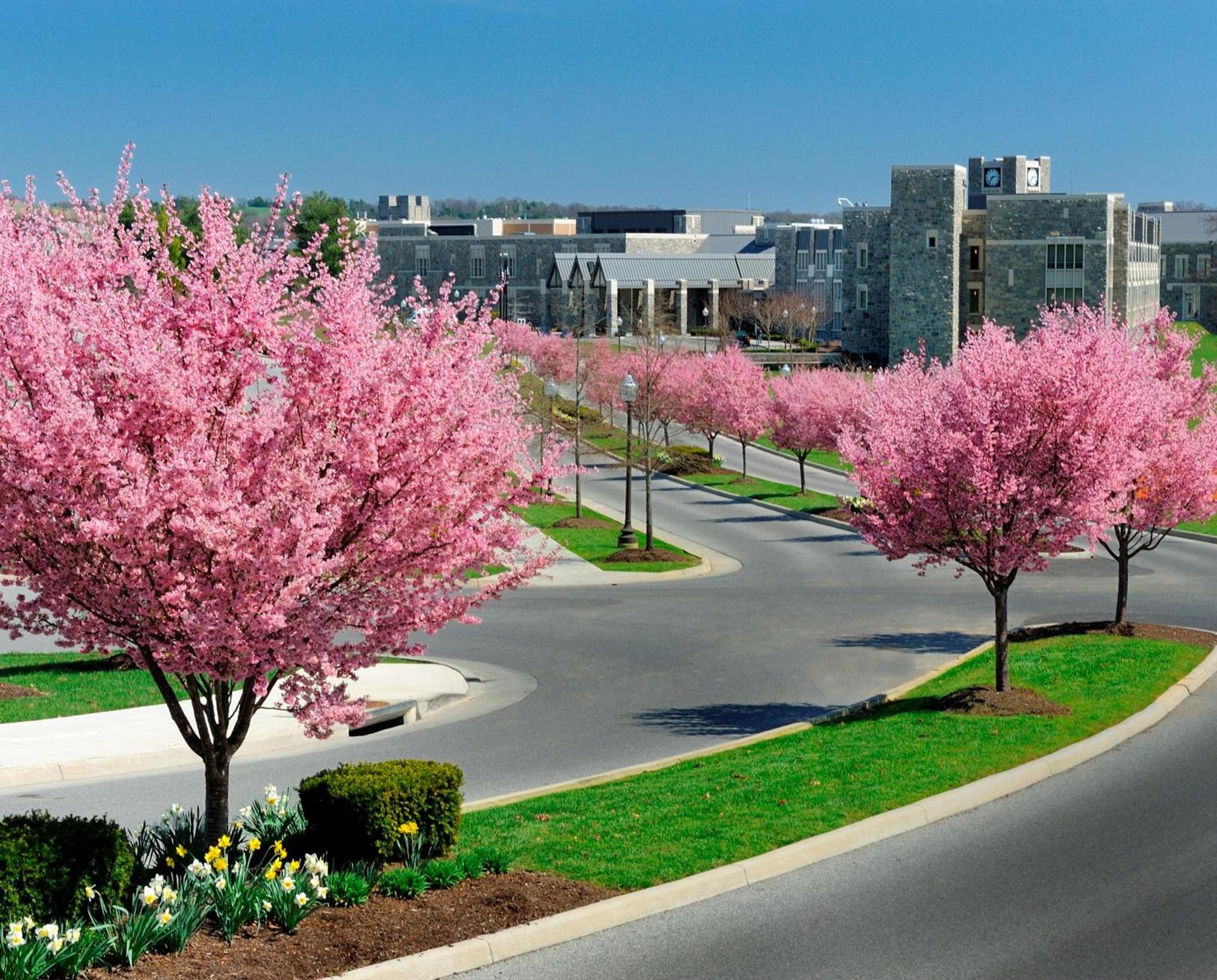 The Inn at Virginia Tech - On Campus photo 15